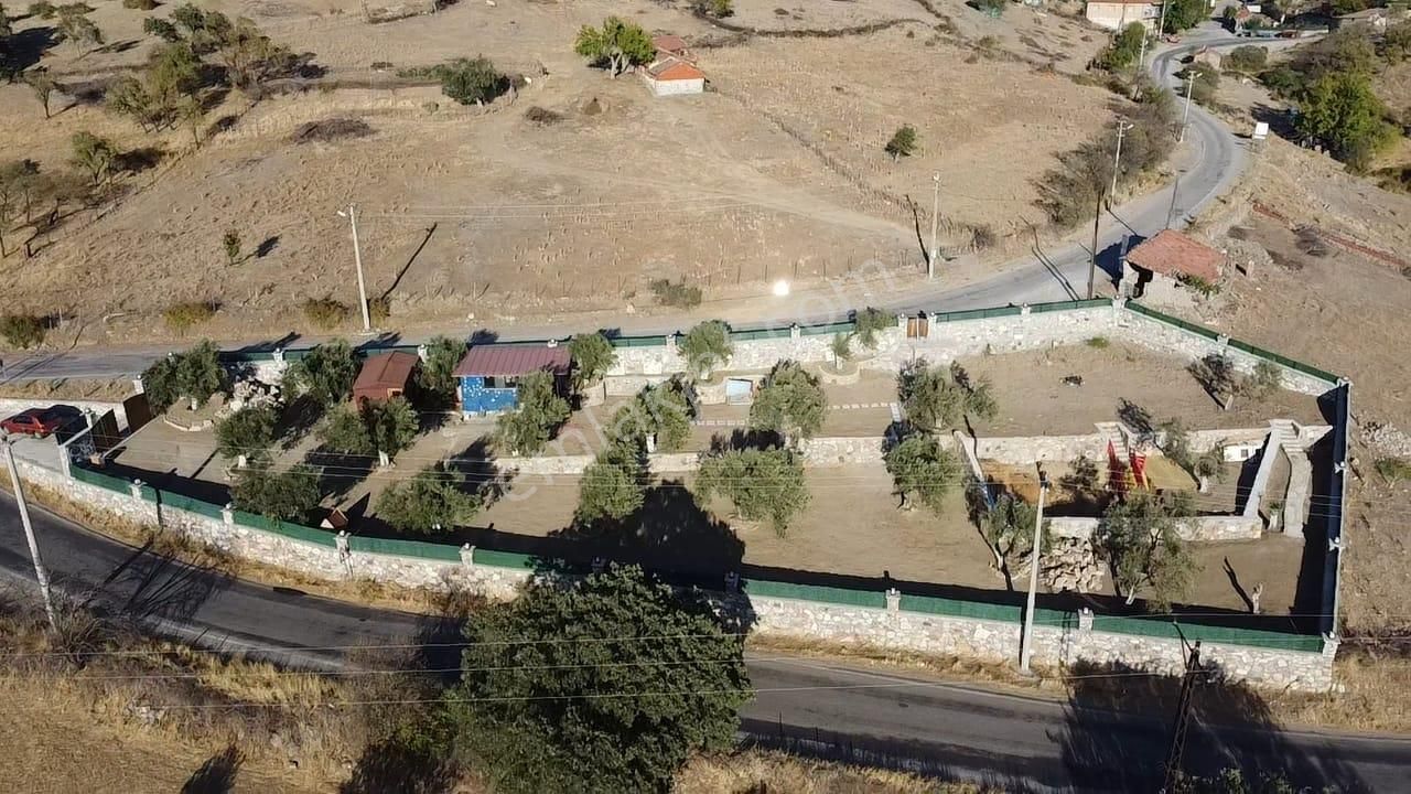 Ön Emlak'tan Burhaniye Bahadınlı Köyünde Satılık 1.400 M2 Hobi Bahçesi Zeytinlik! - Görsel 13