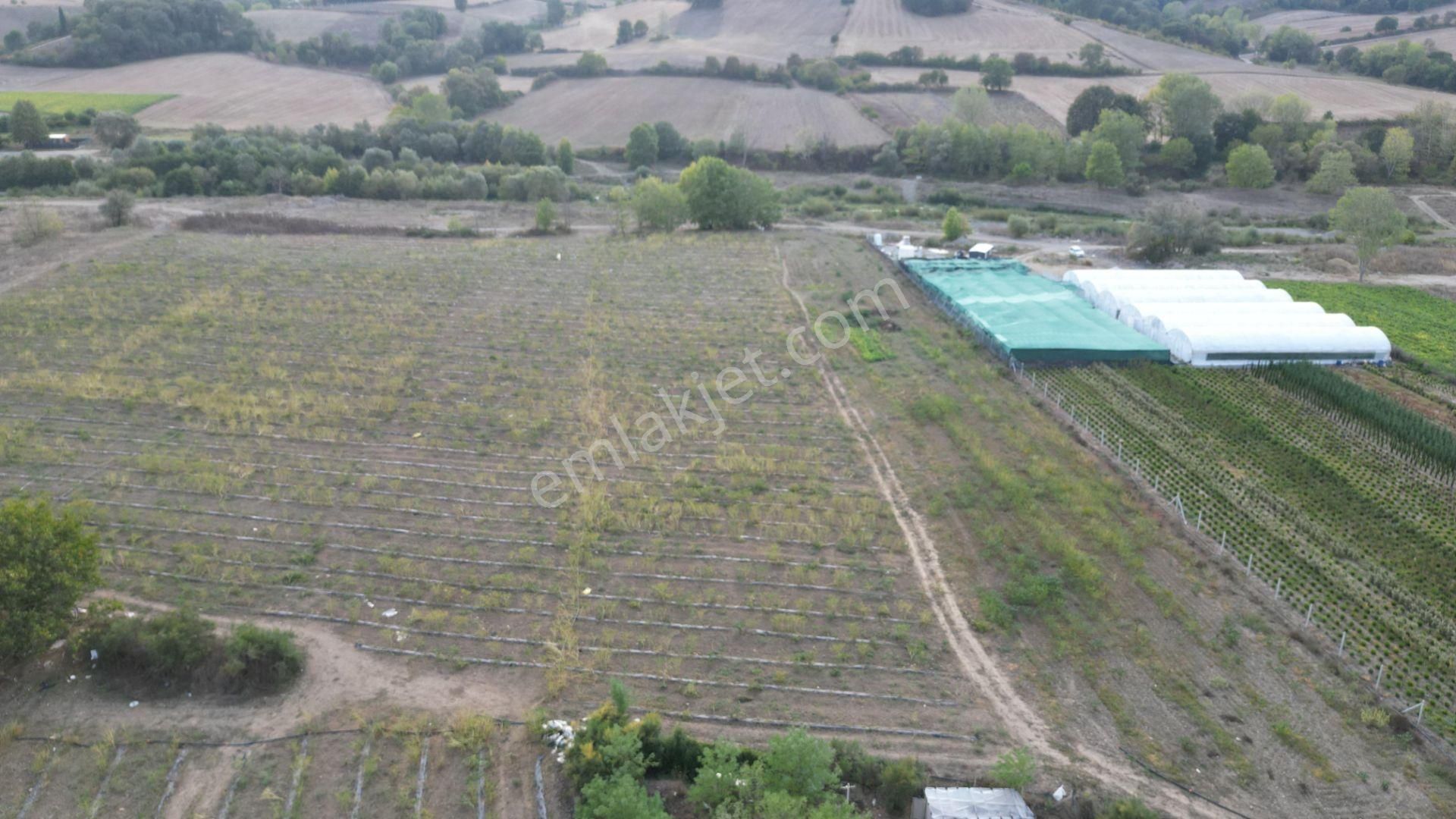 Kocaeli Karamürsel Semetler 6001 M² Yatırımlık Satılık Tarla - Görsel 4