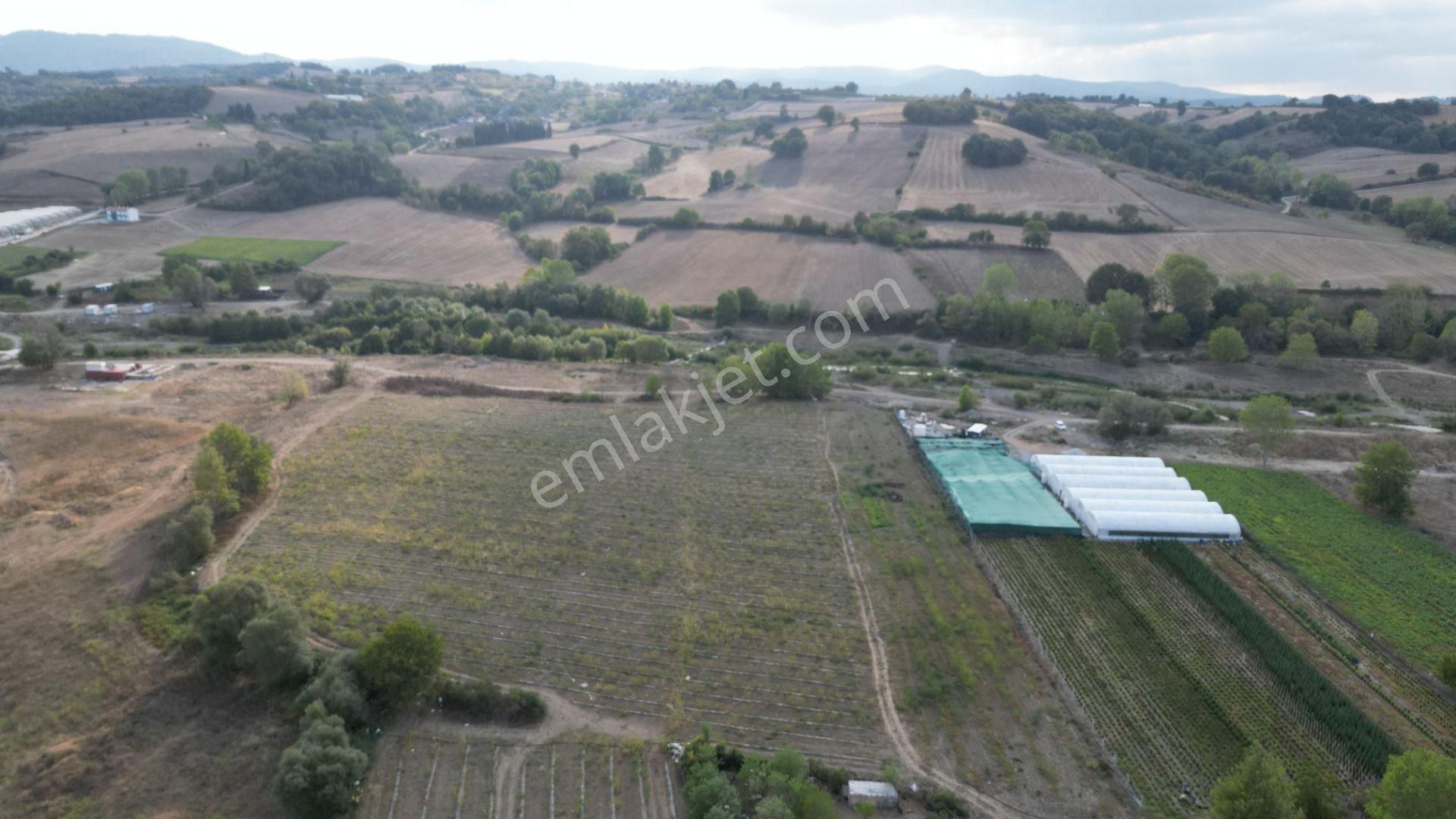 Kocaeli Karamürsel Semetler 6001 M² Yatırımlık Satılık Tarla - Görsel 11