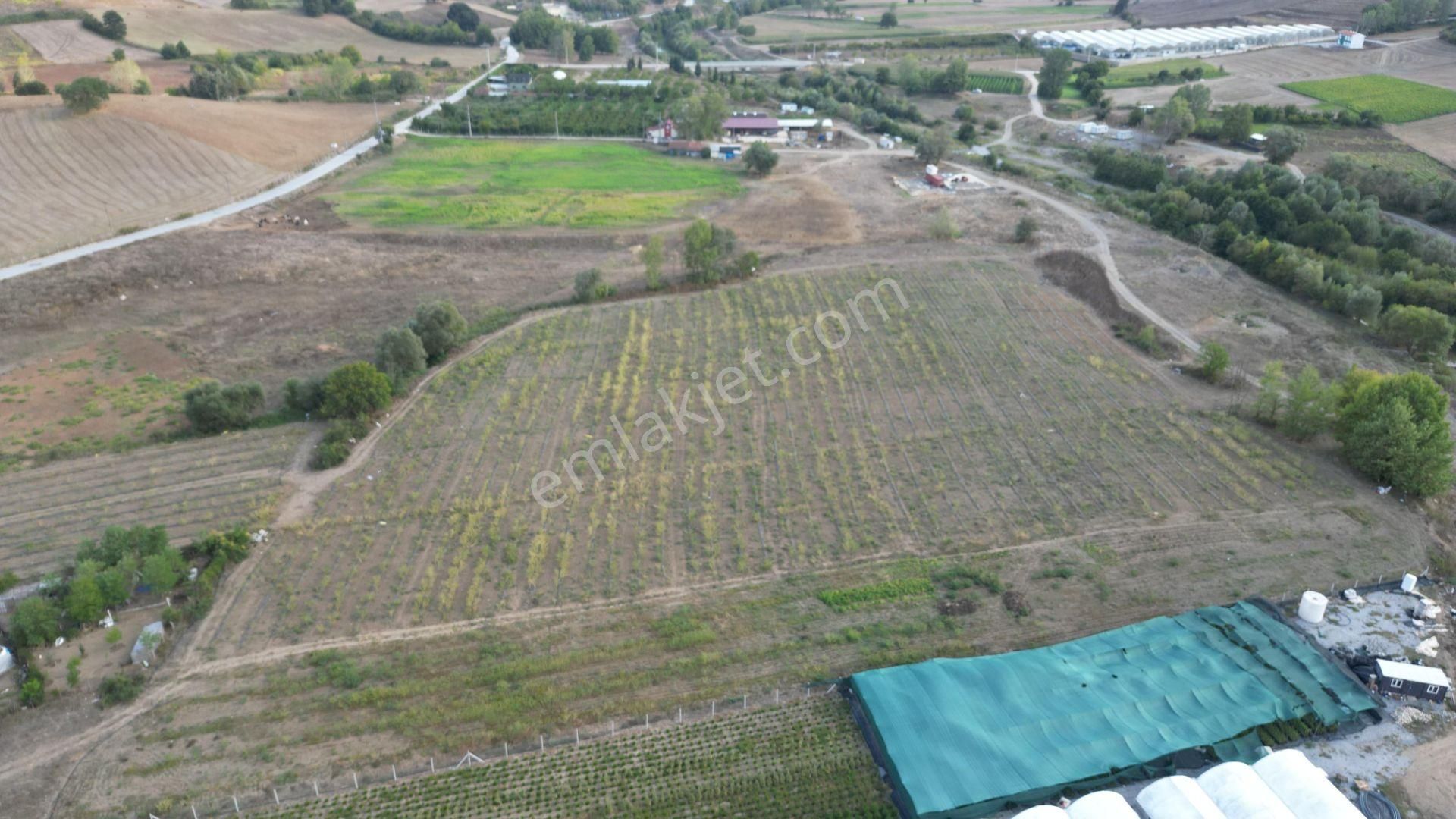 Kocaeli Karamürsel Semetler 6001 M² Yatırımlık Satılık Tarla - Görsel 2