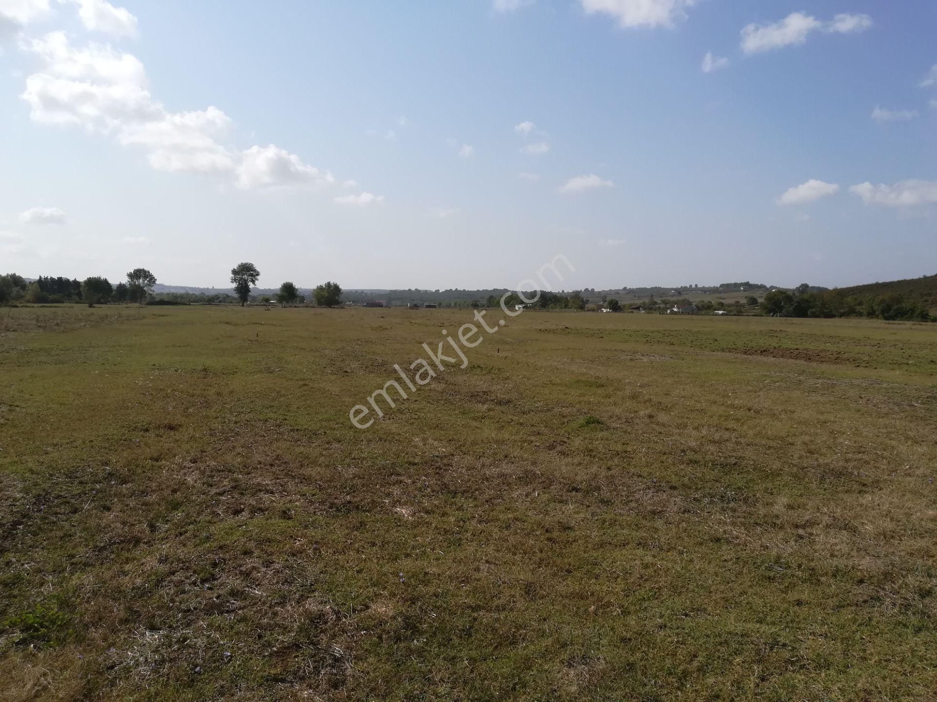 Sahibinden Kandıra Bollu'da Seyrek Plajına Yakın Satılık Tarla - Görsel 8