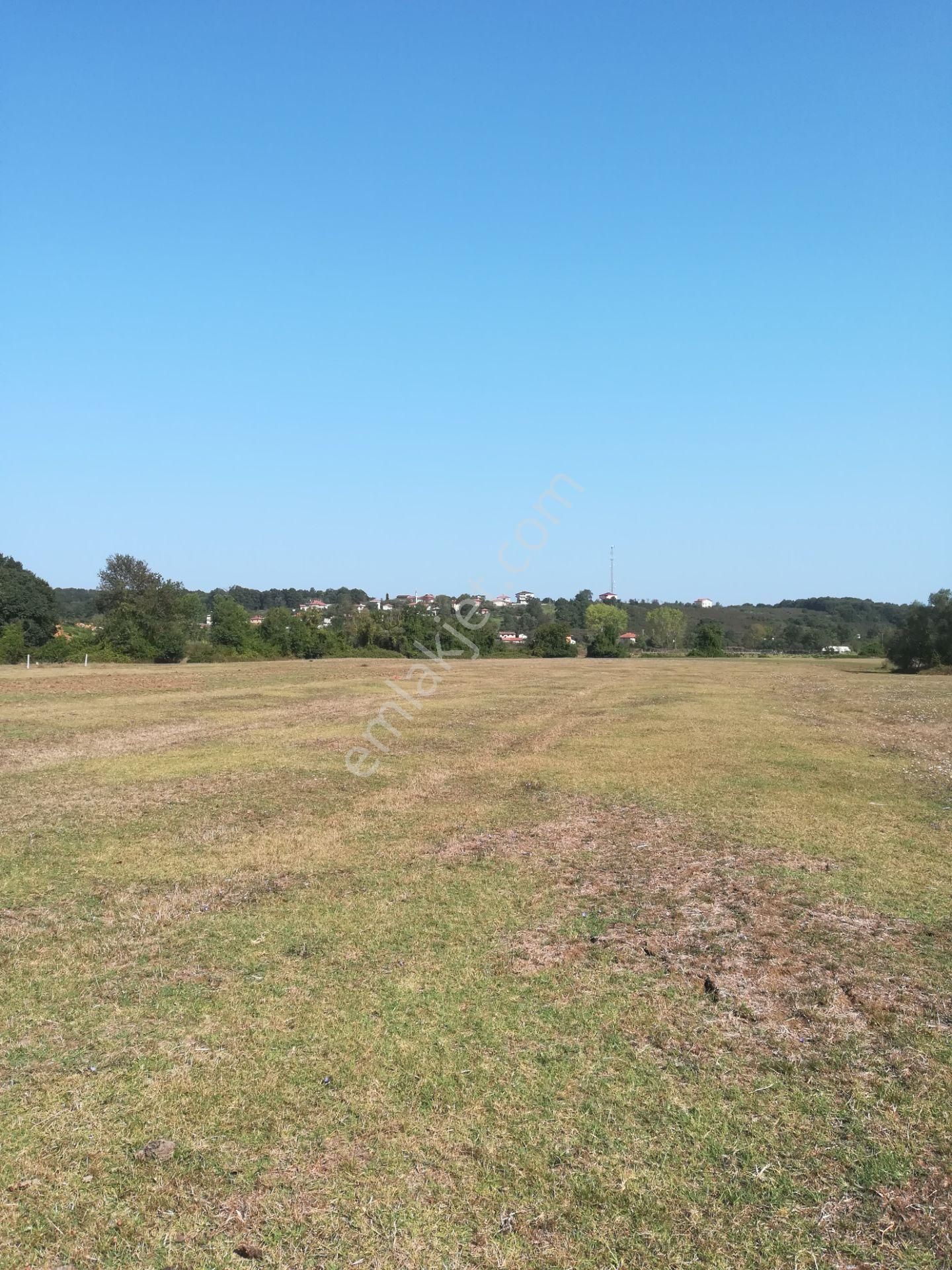 Sahibinden Kandıra Bollu'da Seyrek Plajına Yakın Satılık Tarla - Görsel 9