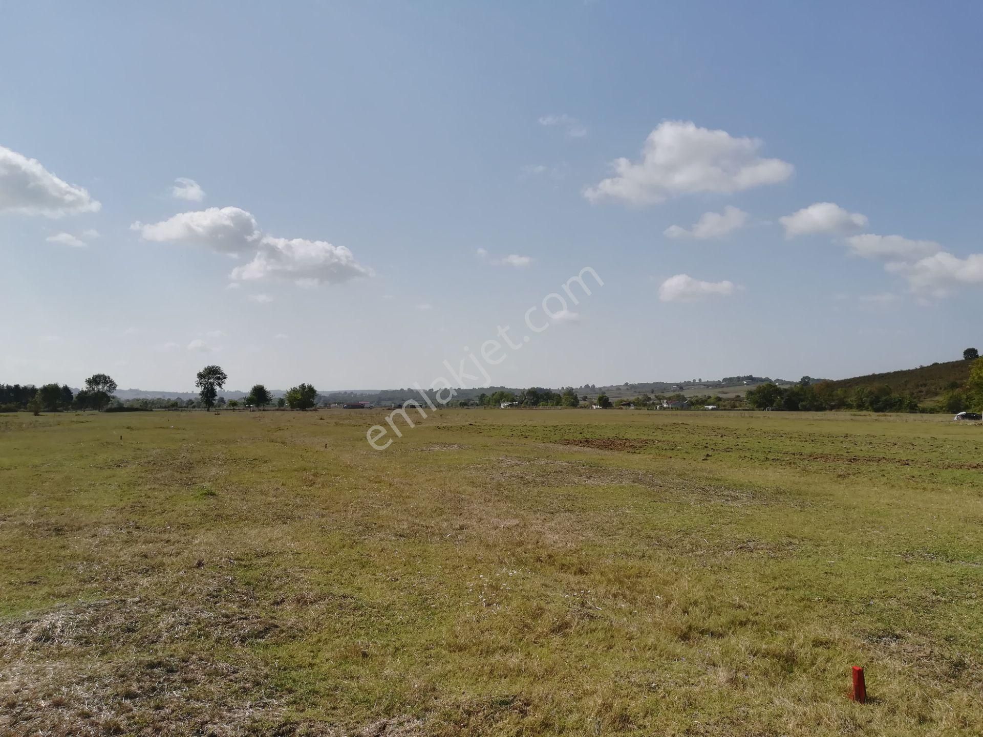 Sahibinden Kandıra Bollu'da Seyrek Plajına Yakın Satılık Tarla - Görsel 12