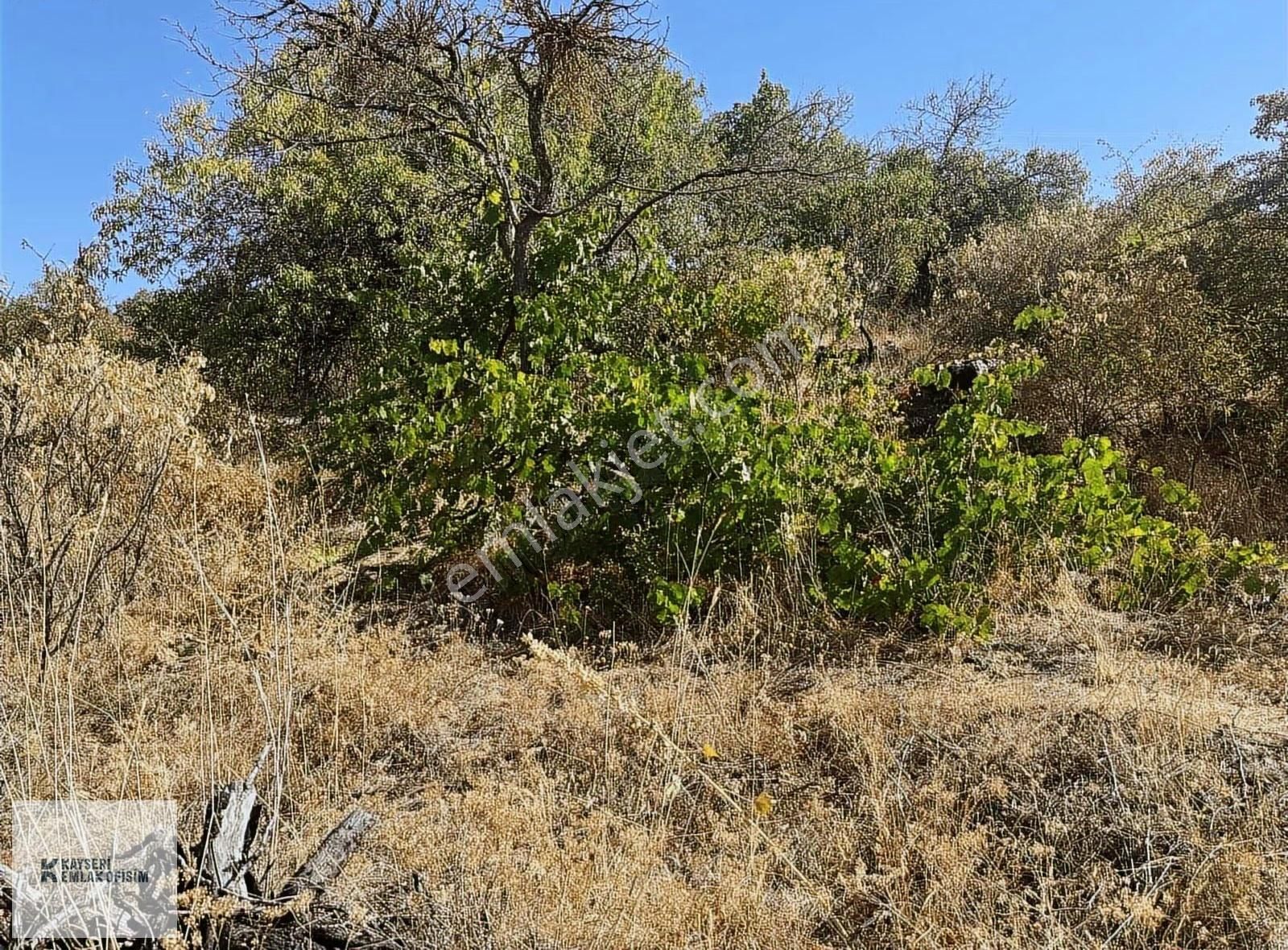 Hacılar Da 500 M2 Temiz Villa Parseli - Görsel 3