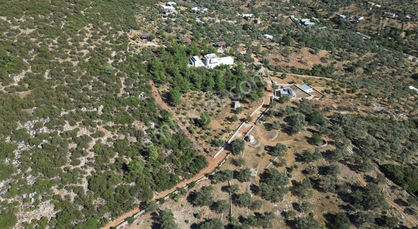 Bodrum Kızılağaç Müstakil Kadastro Yola 88 Metre Cepheli Tarla - Görsel 13