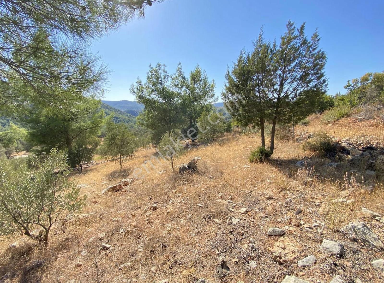 Bodrum Kızılağaç Müstakil Kadastro Yola 88 Metre Cepheli Tarla - Görsel 14