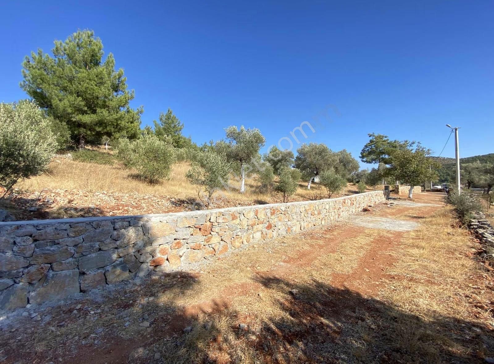 Bodrum Kızılağaç Müstakil Kadastro Yola 88 Metre Cepheli Tarla - Görsel 6