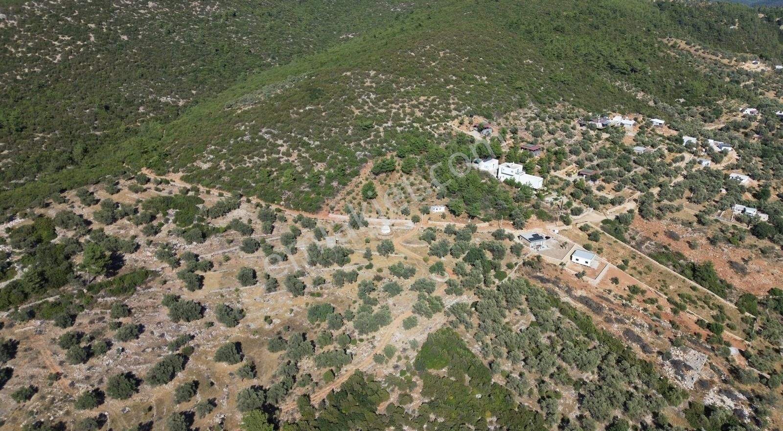 Bodrum Kızılağaç Müstakil Kadastro Yola 88 Metre Cepheli Tarla - Görsel 7