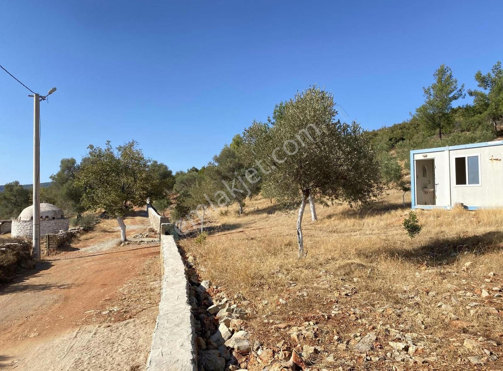 Bodrum Kızılağaç Müstakil Kadastro Yola 88 Metre Cepheli Tarla - Görsel 18