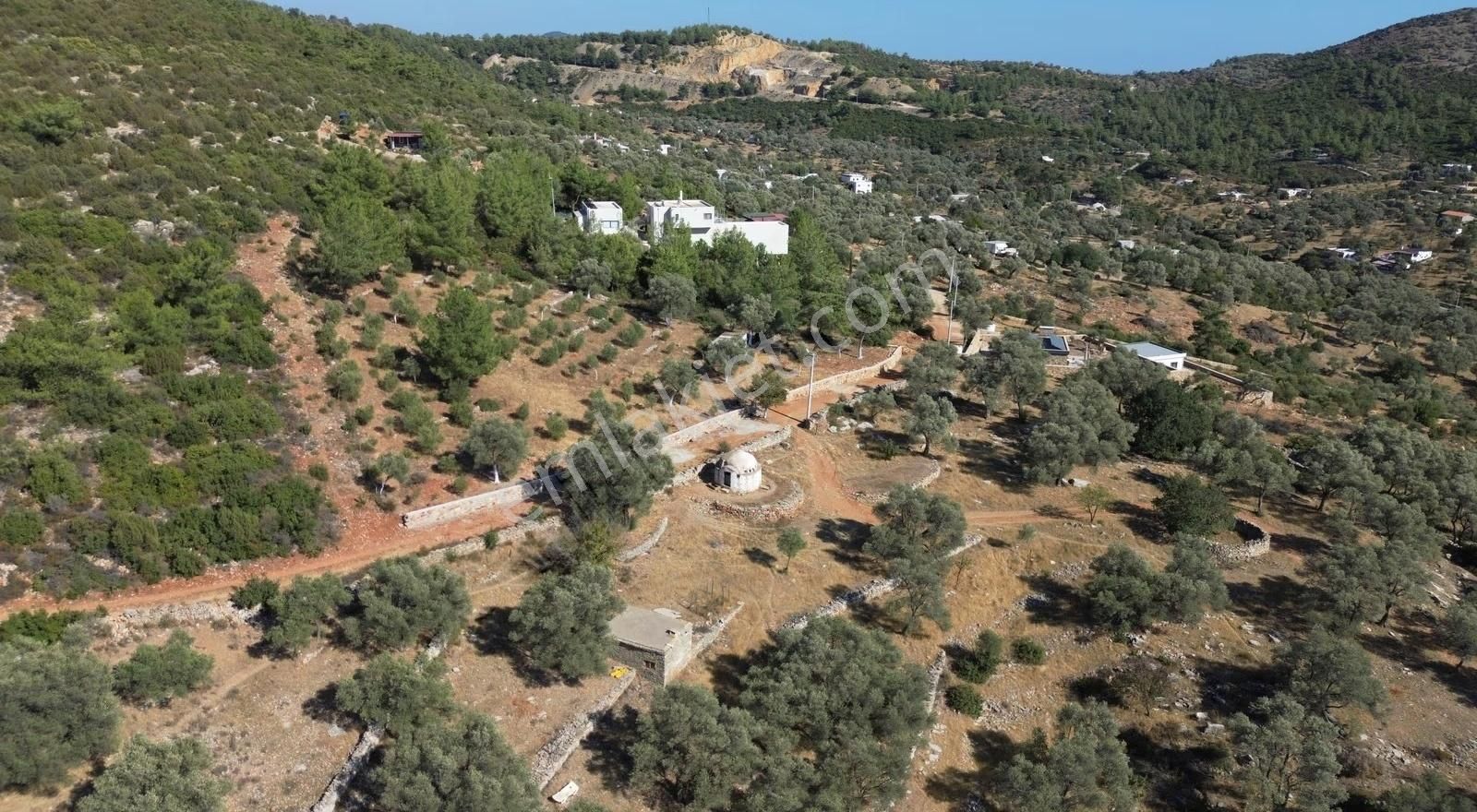 Bodrum Kızılağaç Müstakil Kadastro Yola 88 Metre Cepheli Tarla - Görsel 2