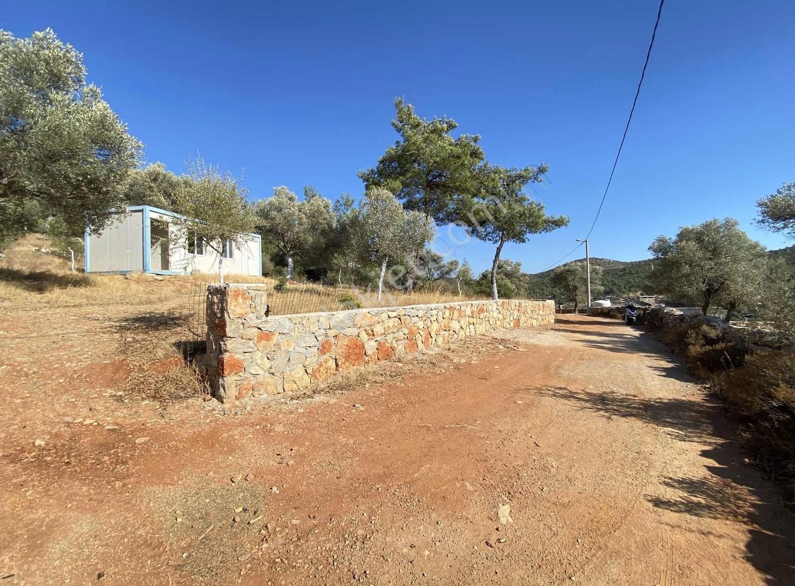 Bodrum Kızılağaç Müstakil Kadastro Yola 88 Metre Cepheli Tarla - Görsel 10