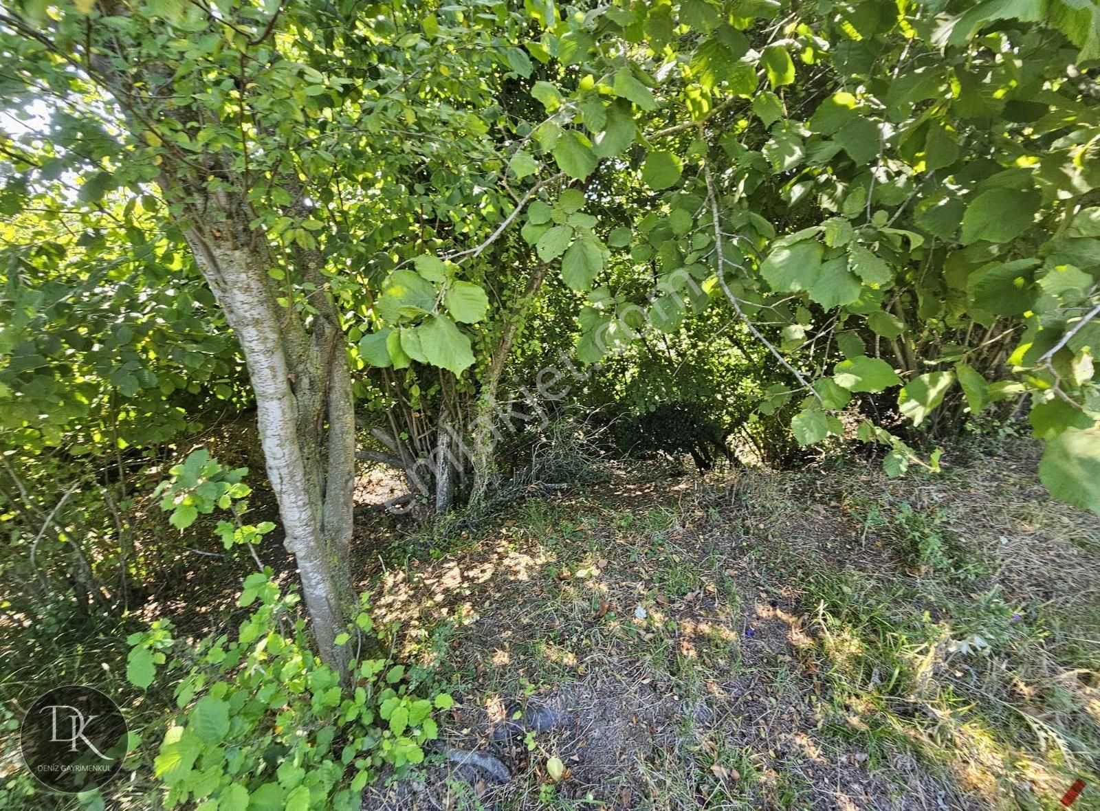 Deniz G.m.den Avcıköy'de Satılık %5 İmarlı Arazi - Görsel 26