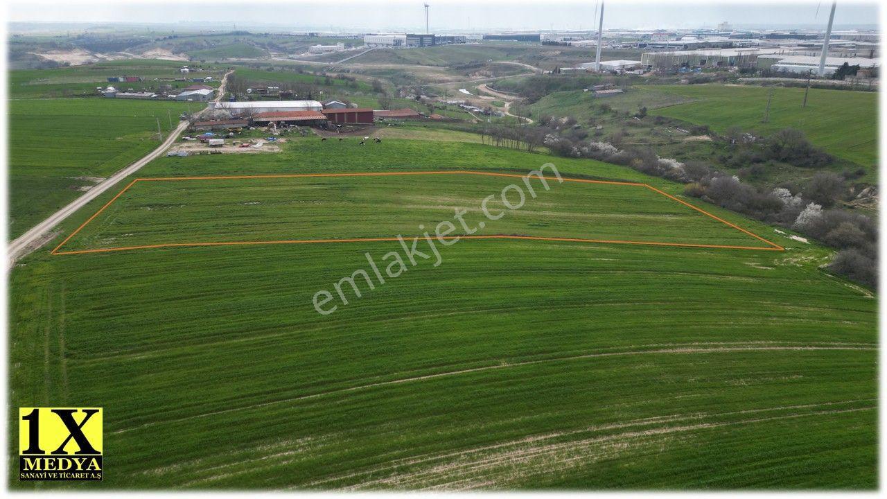Çerkezköy Veliköy Müsellim Mevkii’nde 10.535,80 M² Yatırımlık Satılık Tarla - Görsel 4