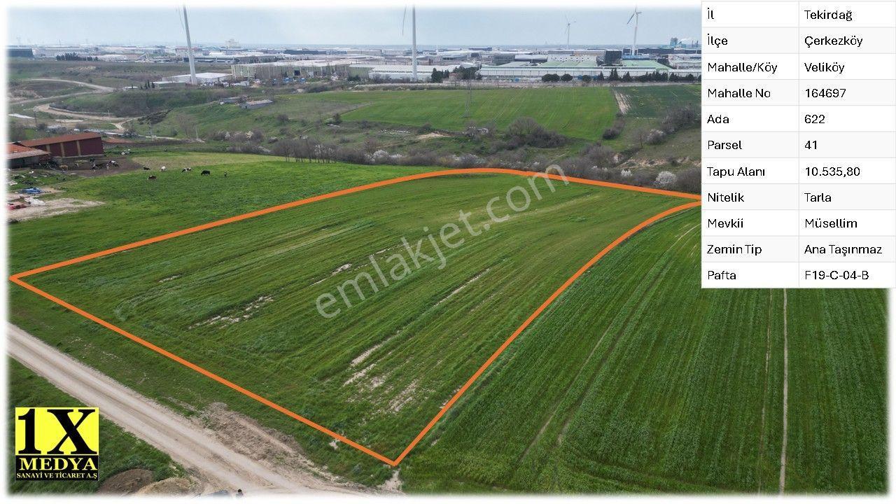 Çerkezköy Veliköy Müsellim Mevkii’nde 10.535,80 M² Yatırımlık Satılık Tarla - Görsel 3