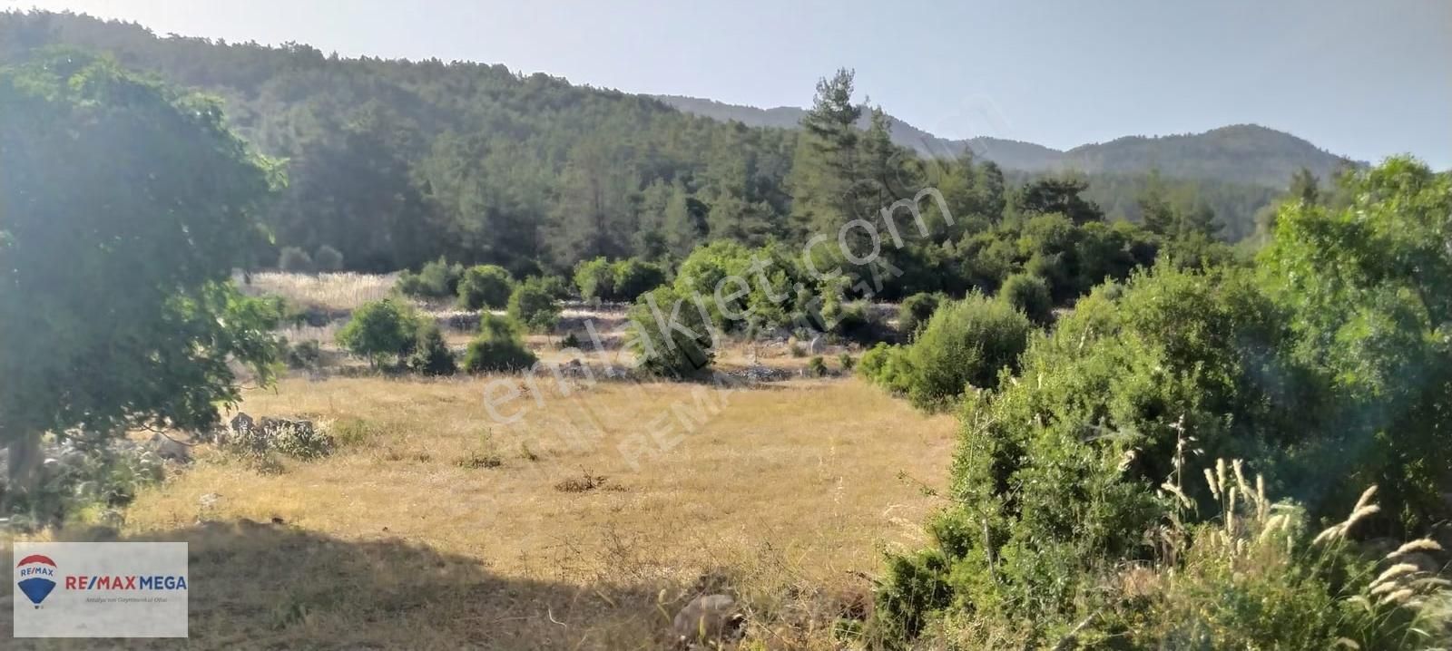 Burdur Bucak Kayı Mahallesi Köy İçi Satılık İfrazlı Tarla - Görsel 13