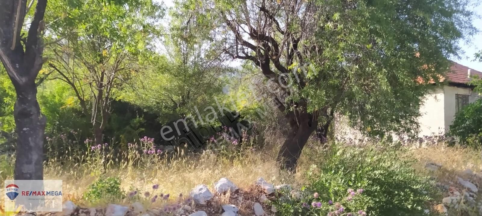 Burdur Bucak Kayı Mahallesi Köy İçi Satılık İfrazlı Tarla - Görsel 10