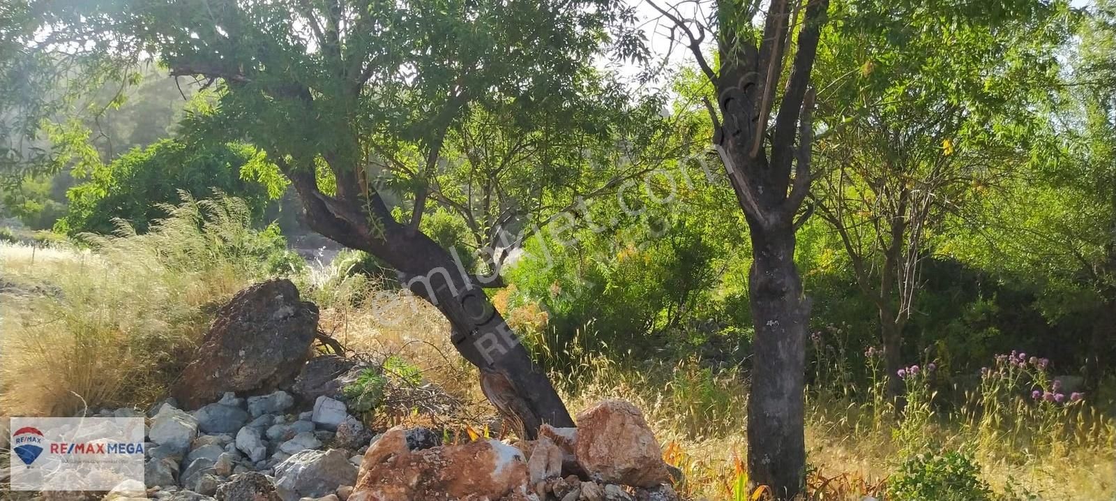 Burdur Bucak Kayı Mahallesi Köy İçi Satılık İfrazlı Tarla - Görsel 15