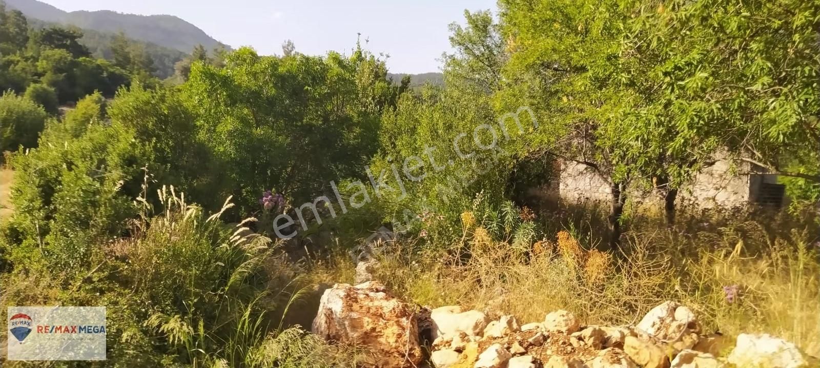 Burdur Bucak Kayı Mahallesi Köy İçi Satılık İfrazlı Tarla