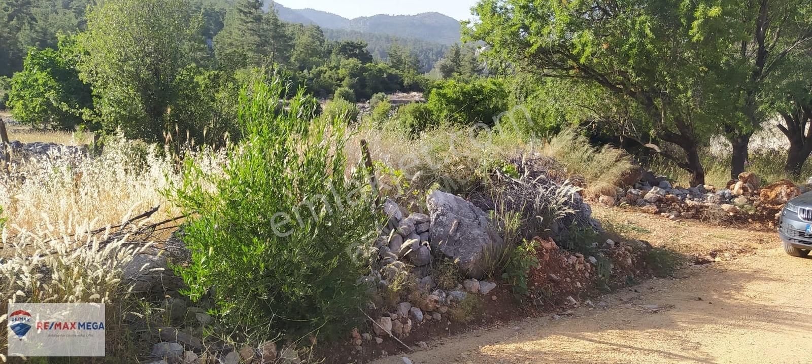 Burdur Bucak Kayı Mahallesi Köy İçi Satılık İfrazlı Tarla - Görsel 11
