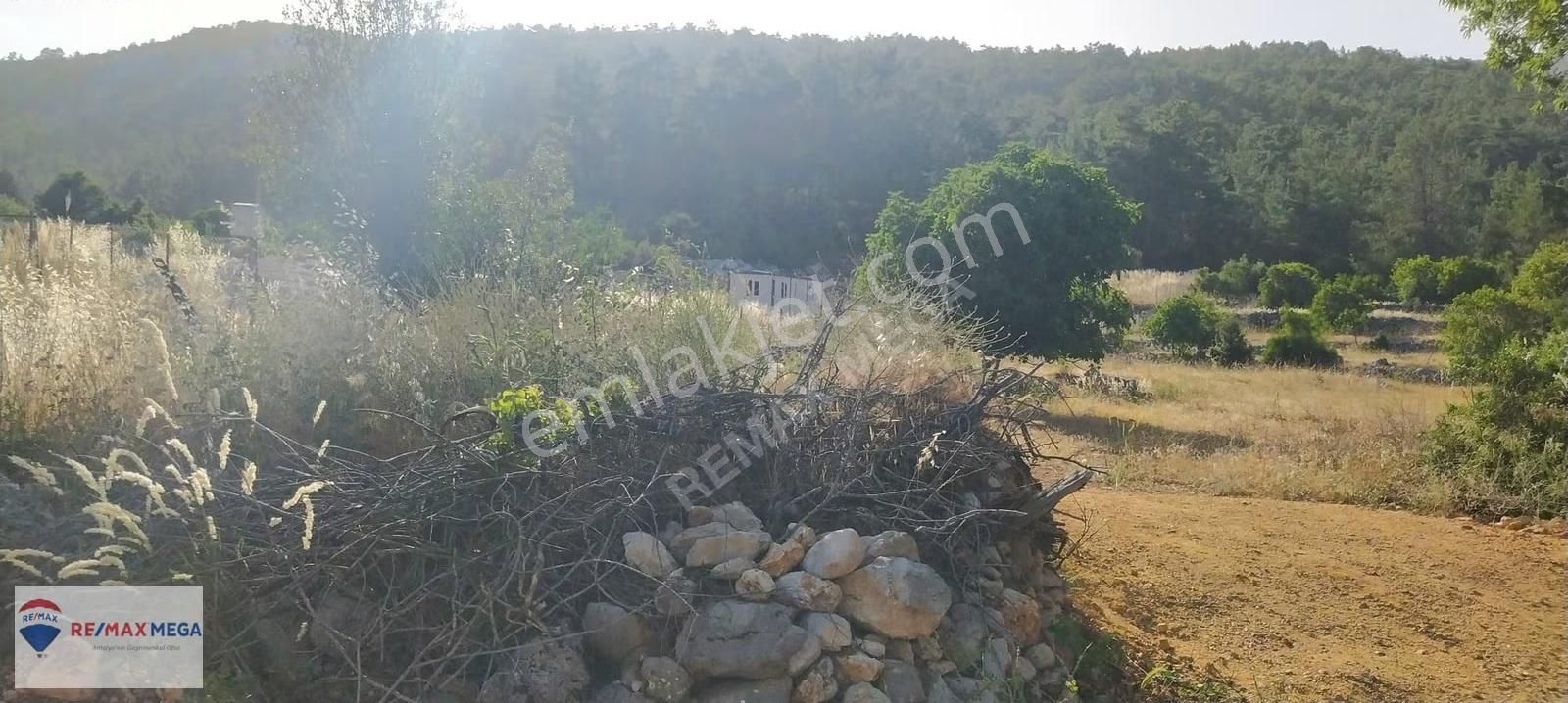 Burdur Bucak Kayı Mahallesi Köy İçi Satılık İfrazlı Tarla - Görsel 9