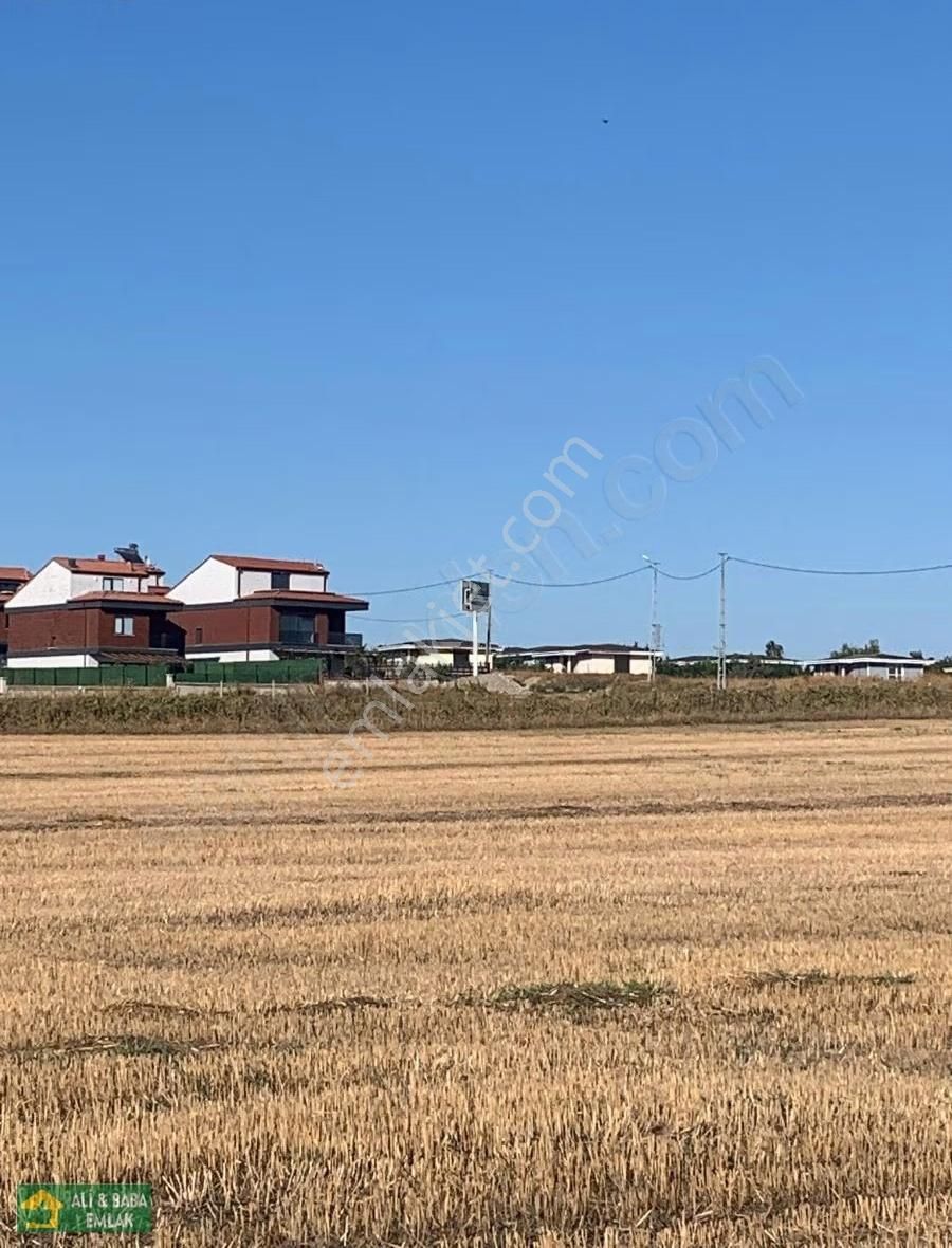 Silivri Balaban Da Yerleşim İçinde - Görsel 6