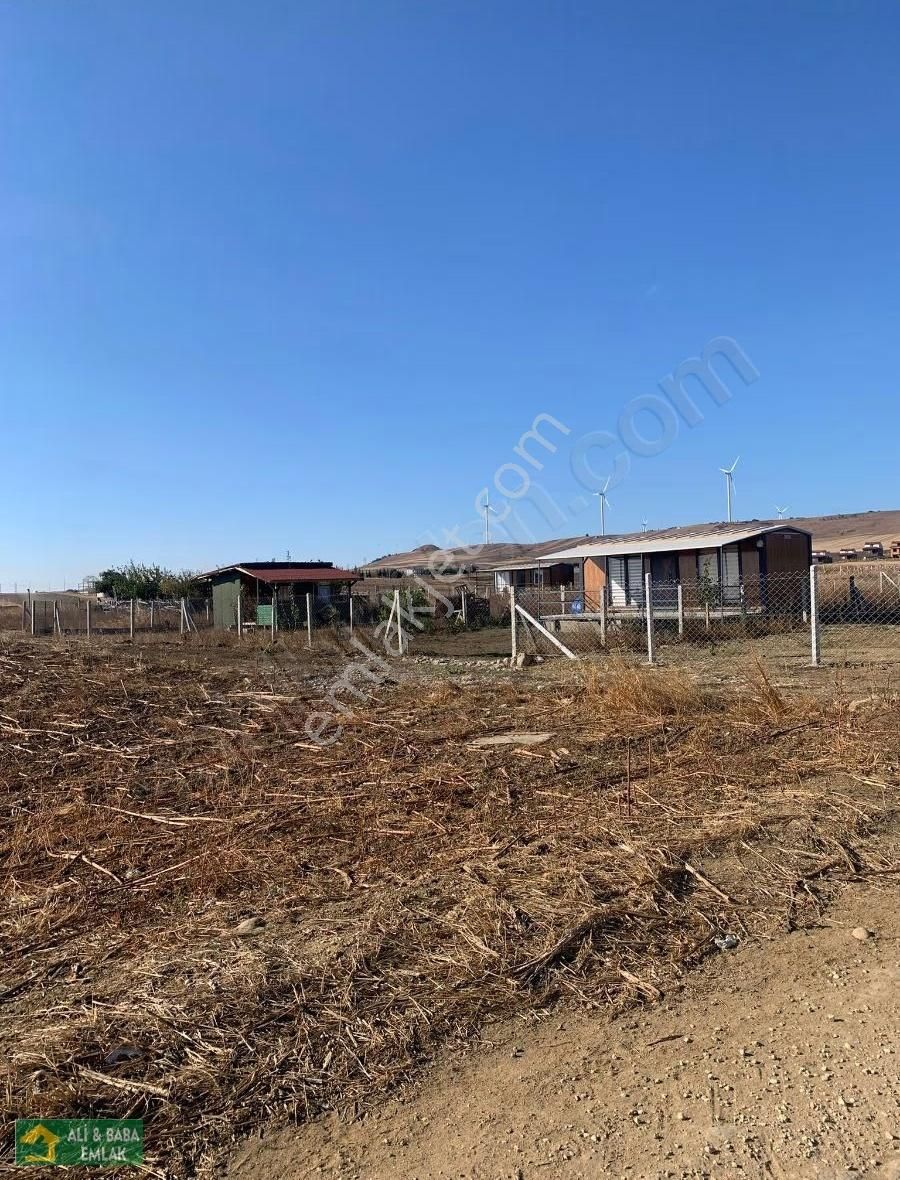 Silivri Balaban Da Yerleşim İçinde - Görsel 3