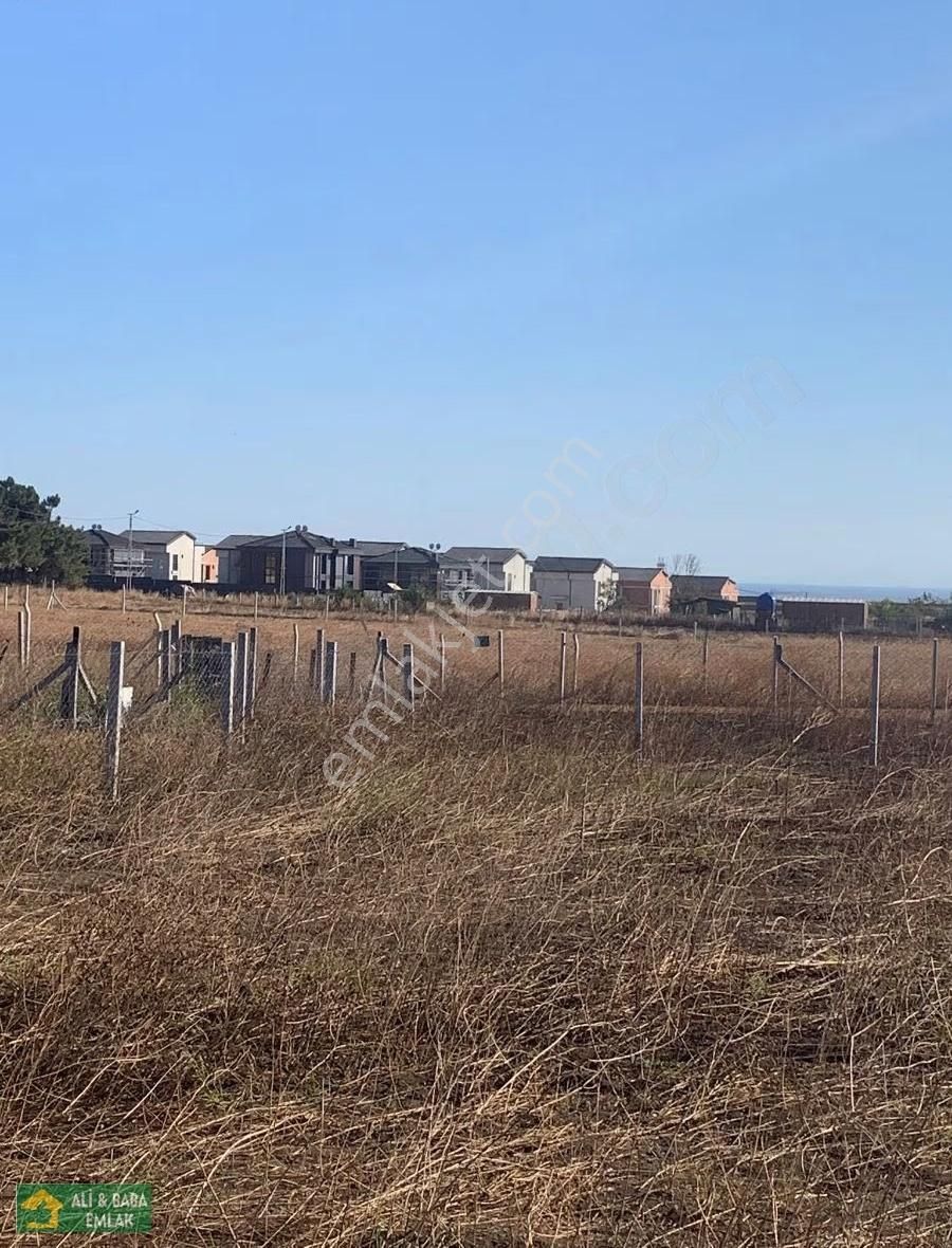 Silivri Balaban Da Yerleşim İçinde - Görsel 2