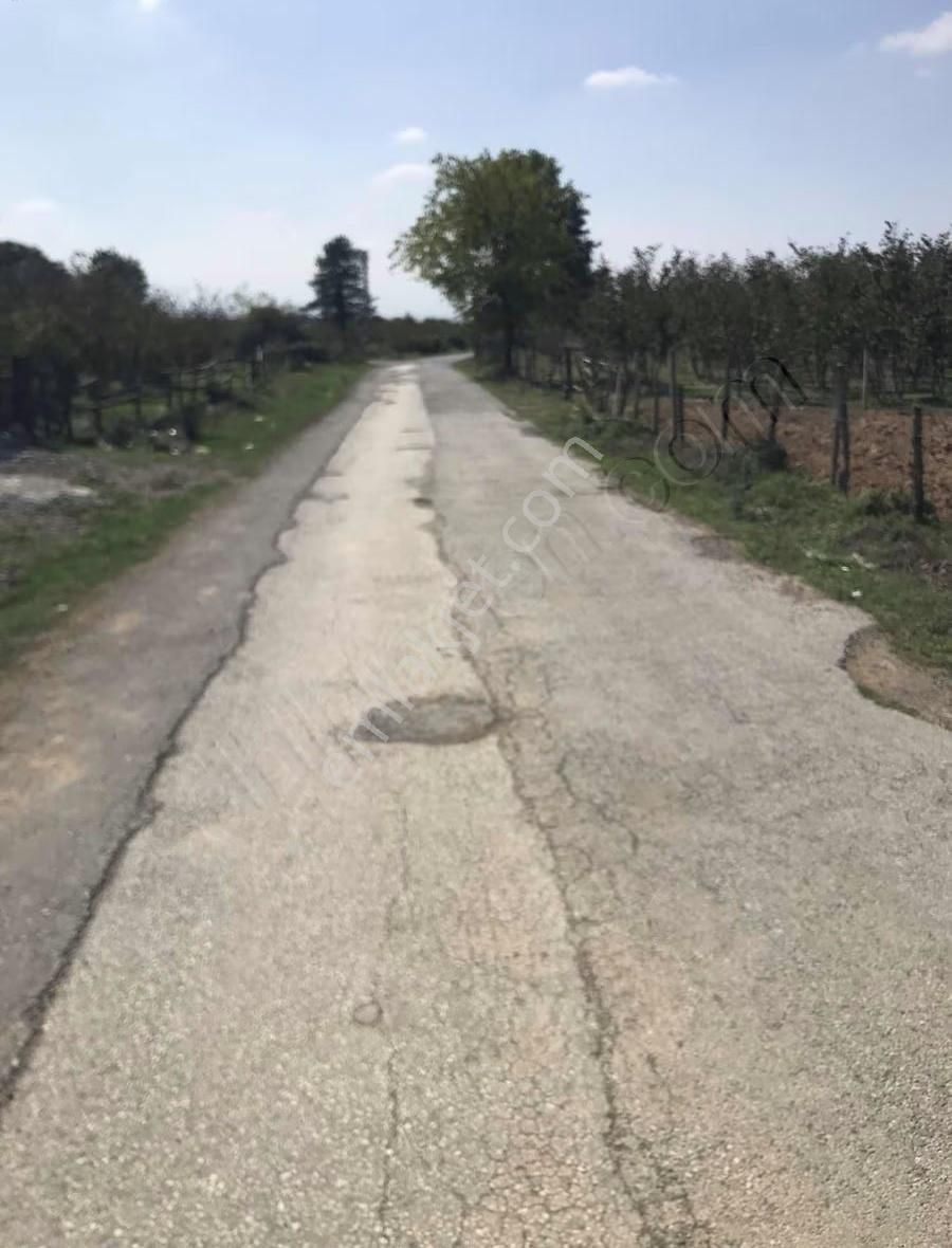 Meriç Çayrak'tan Satılık 2700m2 İki Yol Cepheli - Görsel 4