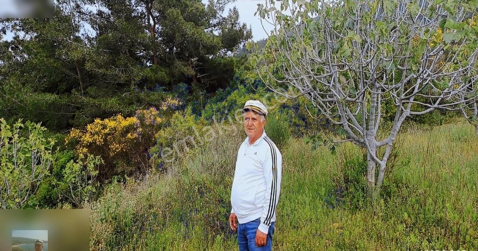 Milas Ören Yakınlarında Satılık İncir Bahcesi 8 Milyon Tl - Görsel 18