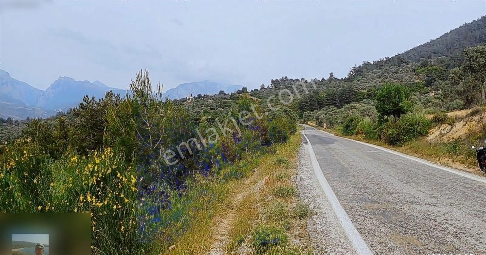 Milas Ören Yakınlarında Satılık İncir Bahcesi 8 Milyon Tl - Görsel 15
