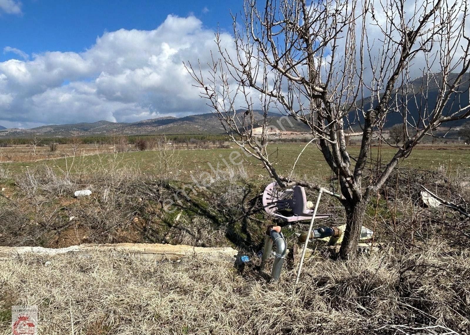 Burdur Çavdır'da Antalya Yolu Üzeri 20 Dönüm Satılık Tarla - Görsel 12