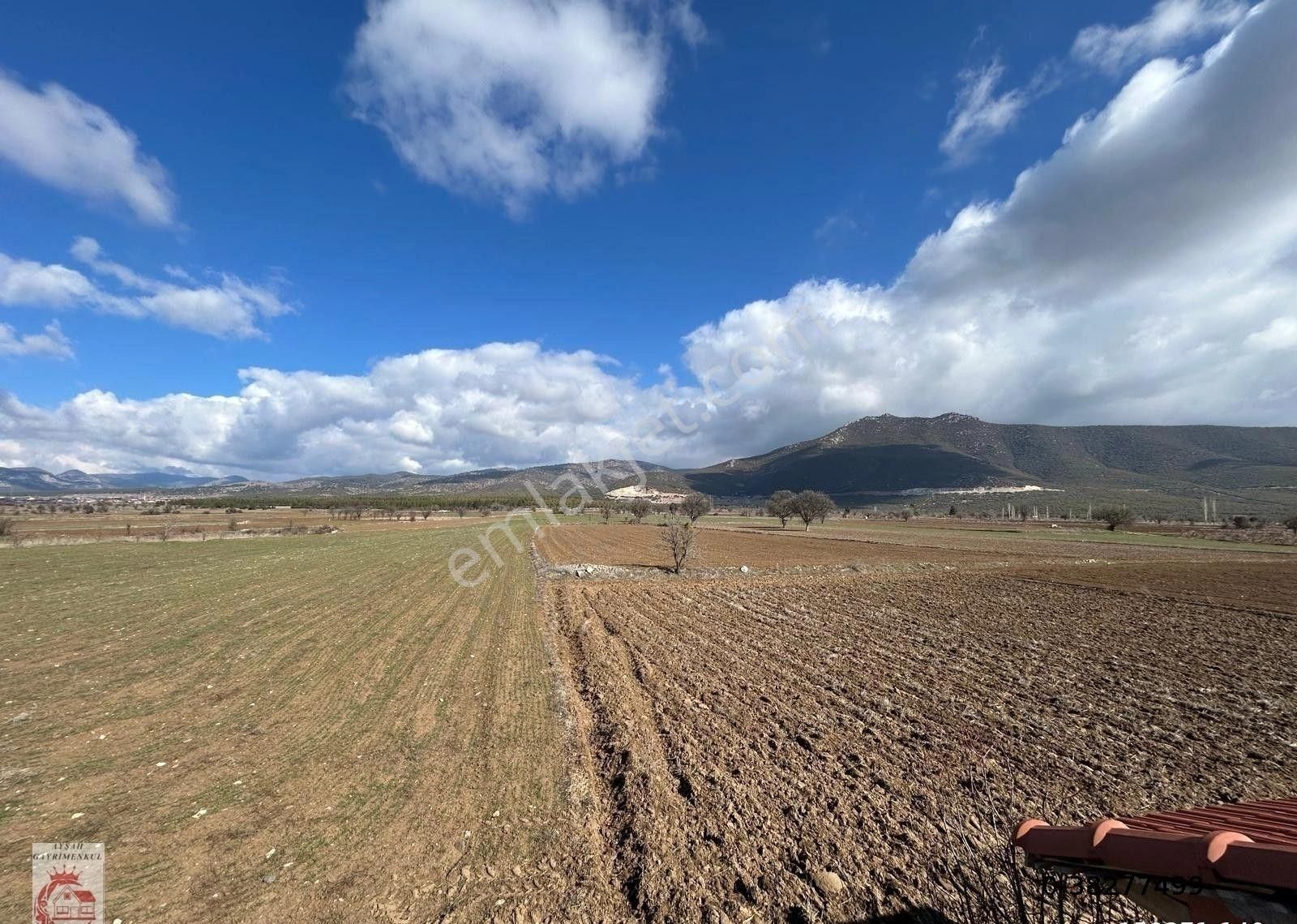 Burdur Çavdır'da Antalya Yolu Üzeri 20 Dönüm Satılık Tarla - Görsel 5