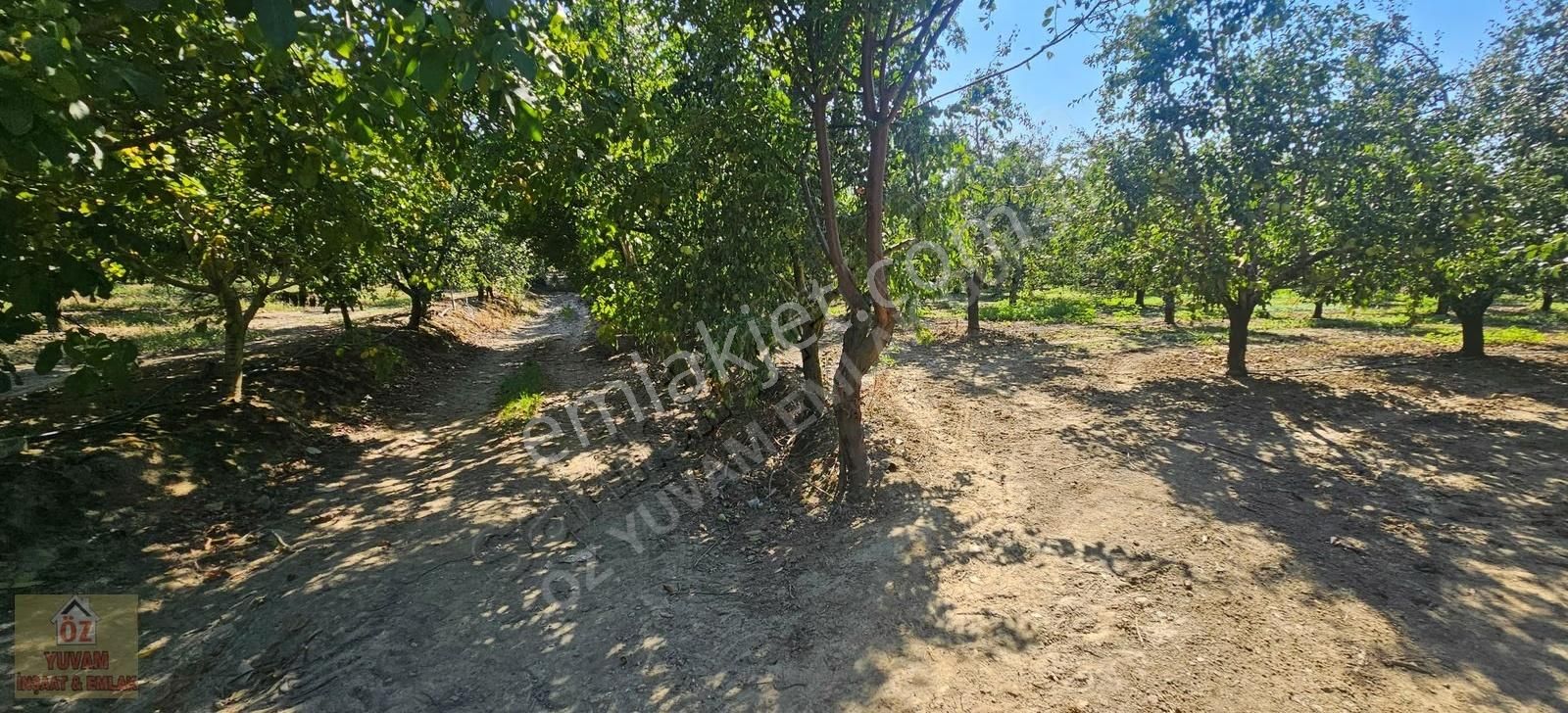 Gürsu Canbazlar'da Satılık 1.770m2 Deveci Armut Bahçesi... - Görsel 5