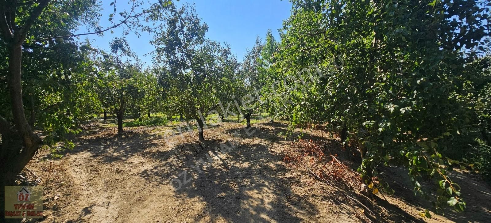 Gürsu Canbazlar'da Satılık 1.770m2 Deveci Armut Bahçesi... - Görsel 6