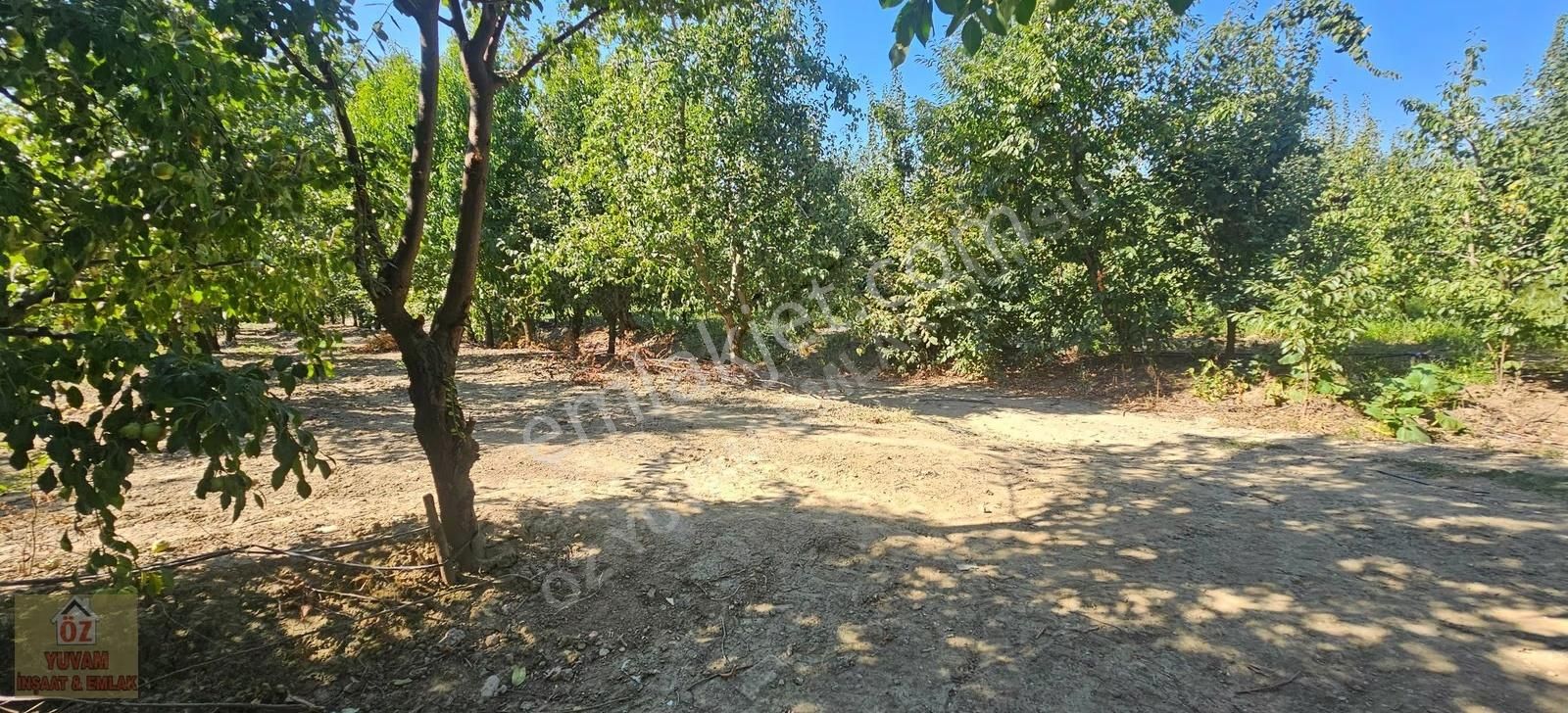 Gürsu Canbazlar'da Satılık 1.770m2 Deveci Armut Bahçesi... - Görsel 9