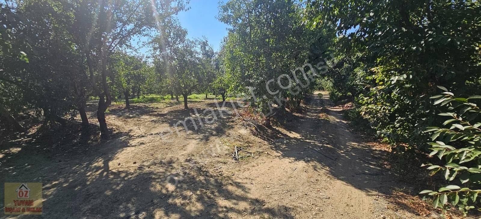 Gürsu Canbazlar'da Satılık 1.770m2 Deveci Armut Bahçesi... - Görsel 11