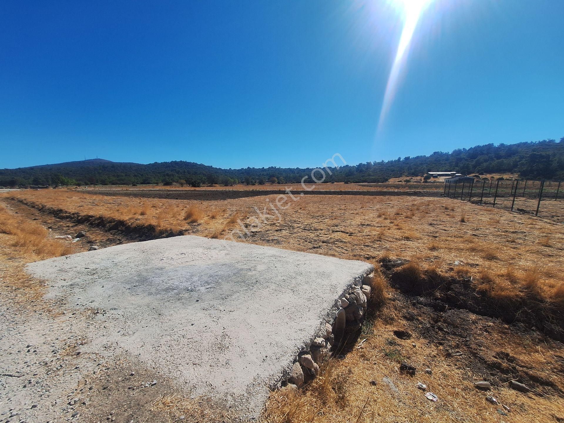 Urla Kadıovacık'ta 285 M2 Müstakil Tapulu, Resmi Yolu Olan Tarla - Görsel 8