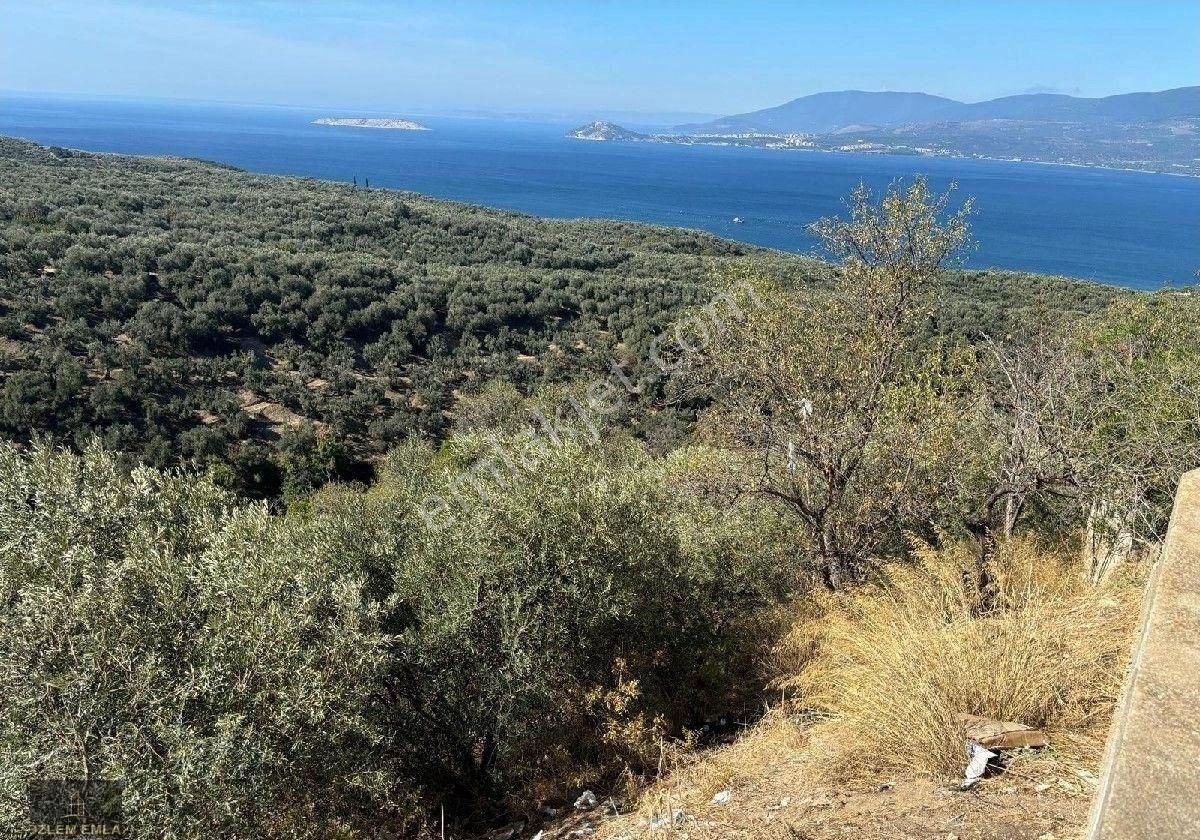 Bandırma Özlem Gayrimenkulden Edincik Mahallesi Deniz Manzaralı İmarın Dibinde 1823 M2 Zeytinlik - Görsel 9