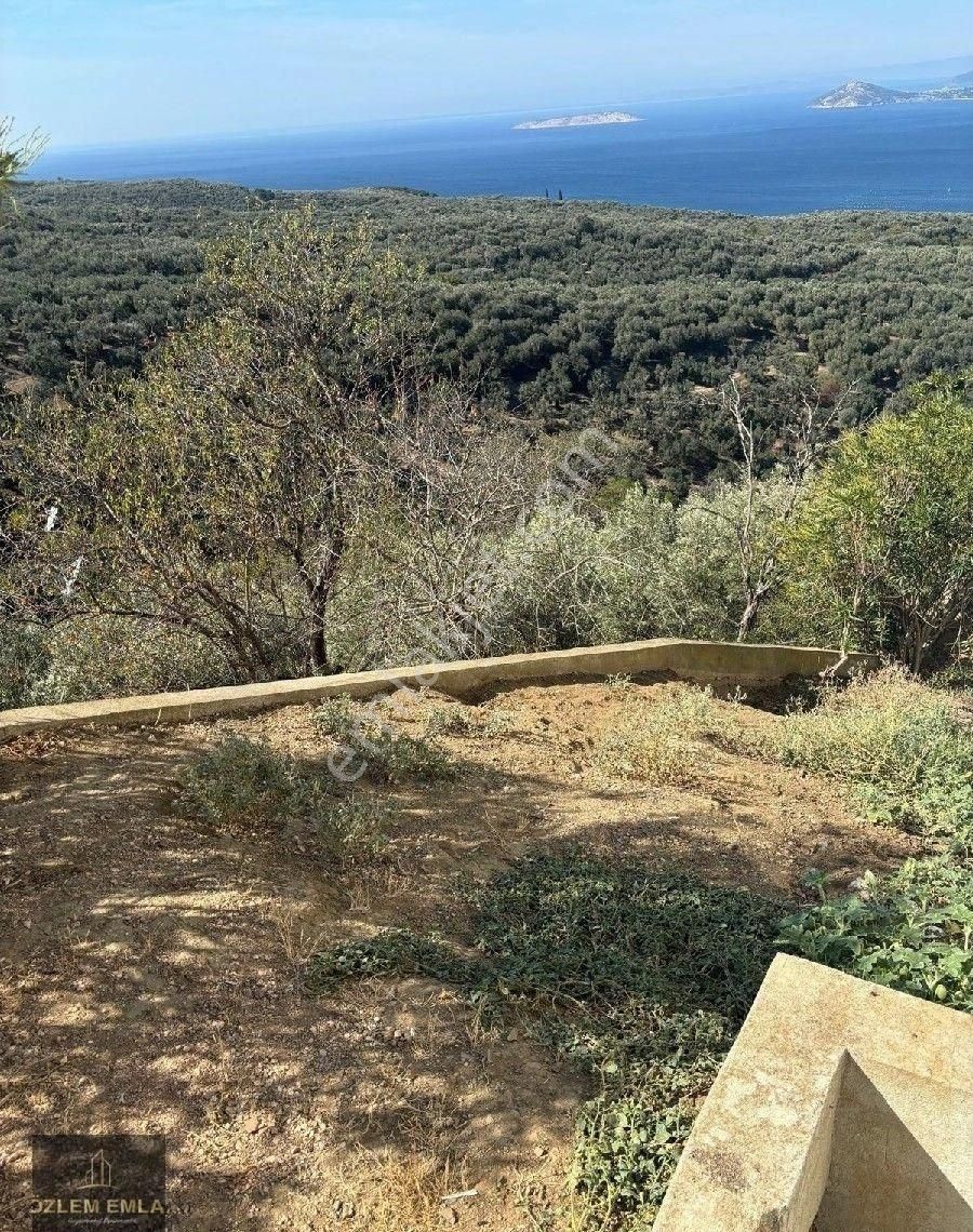 Bandırma Özlem Gayrimenkulden Edincik Mahallesi Deniz Manzaralı İmarın Dibinde 1823 M2 Zeytinlik - Görsel 5