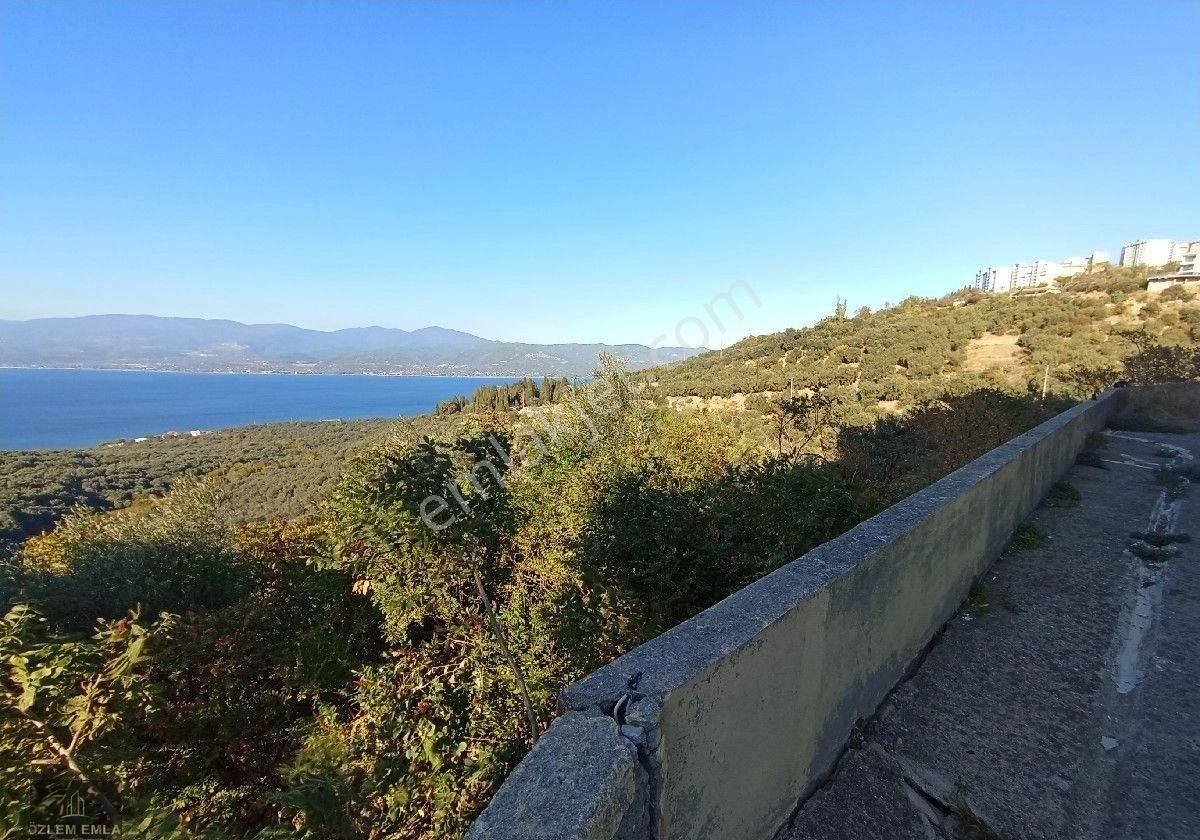 Bandırma Özlem Gayrimenkulden Edincik Mahallesi Deniz Manzaralı İmarın Dibinde 1823 M2 Zeytinlik - Görsel 10