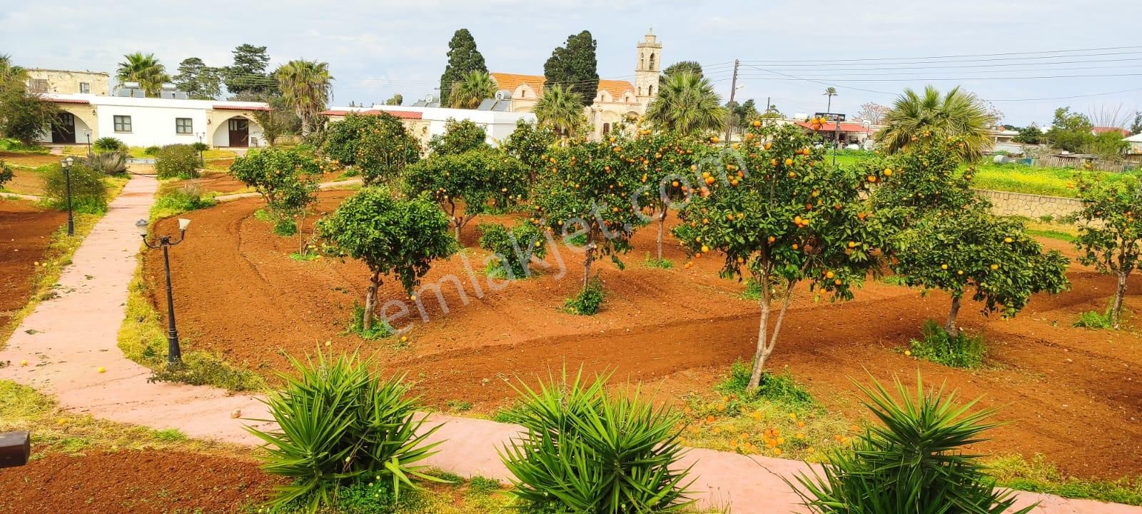Sahibinden Satılık Konut Ve Ticari İmarlı Arsa - Dipkarpaz - Görsel 3