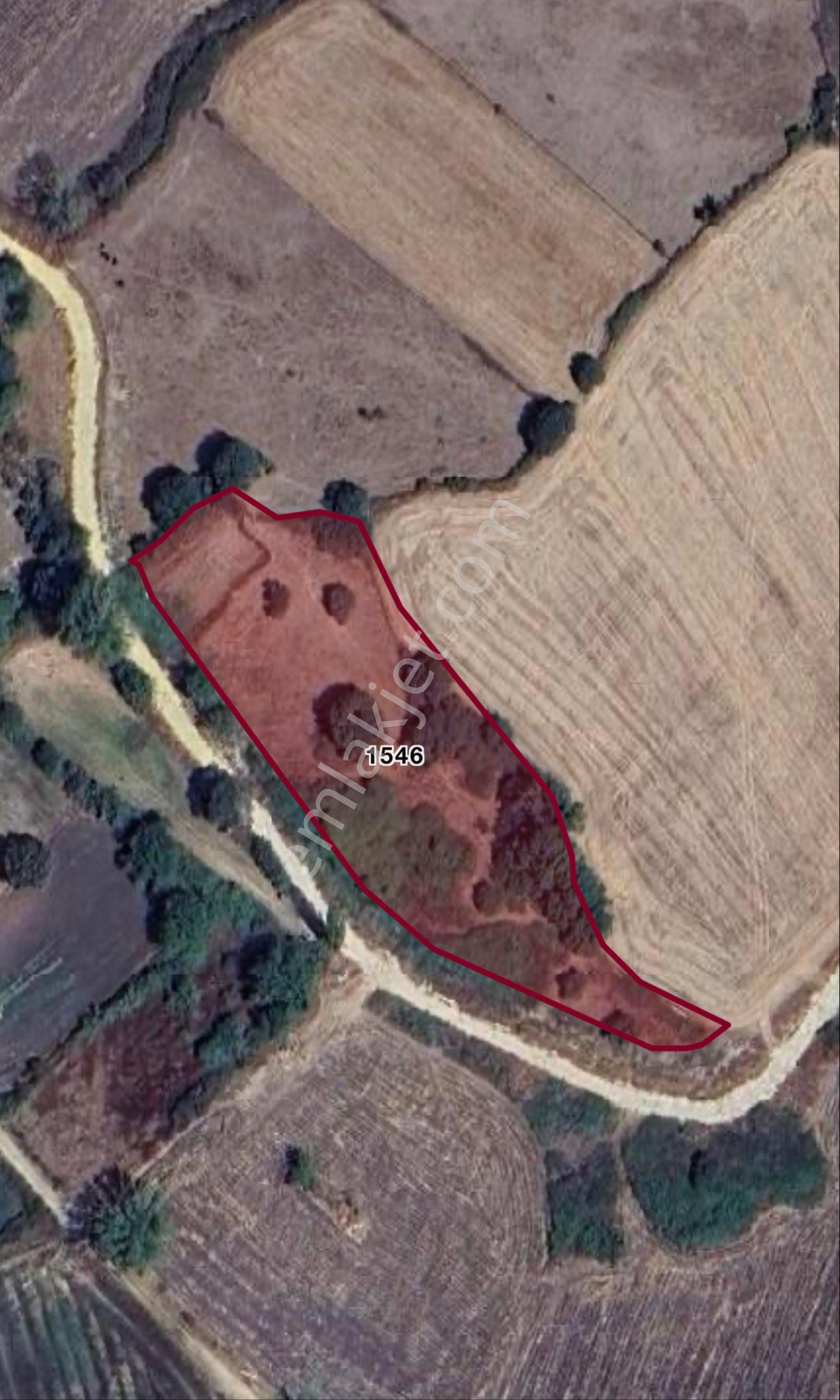 Çanakkale Çan Bahadırlı Köyünde Satılık 6564m2 Arazi - Görsel 2