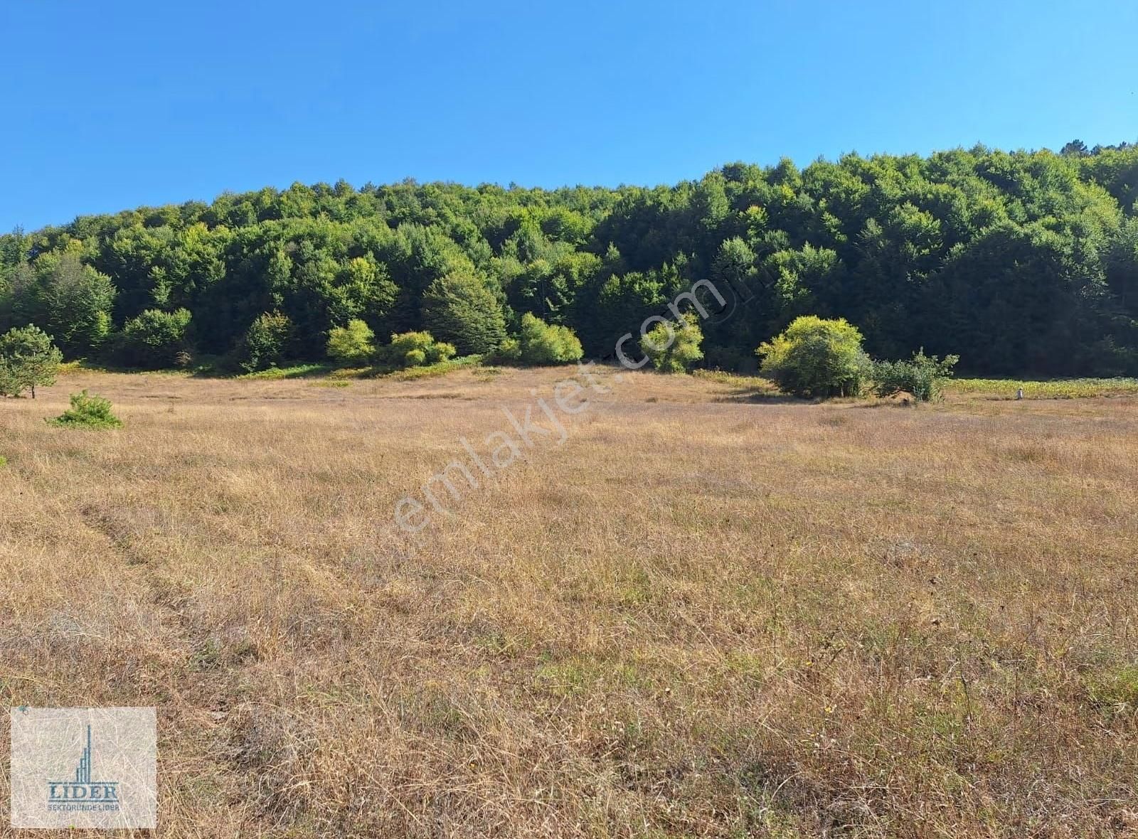 Orhangazi'de Harika Orman Manzaralı 3594m2 Satılık Kupon Arazi - Görsel 13