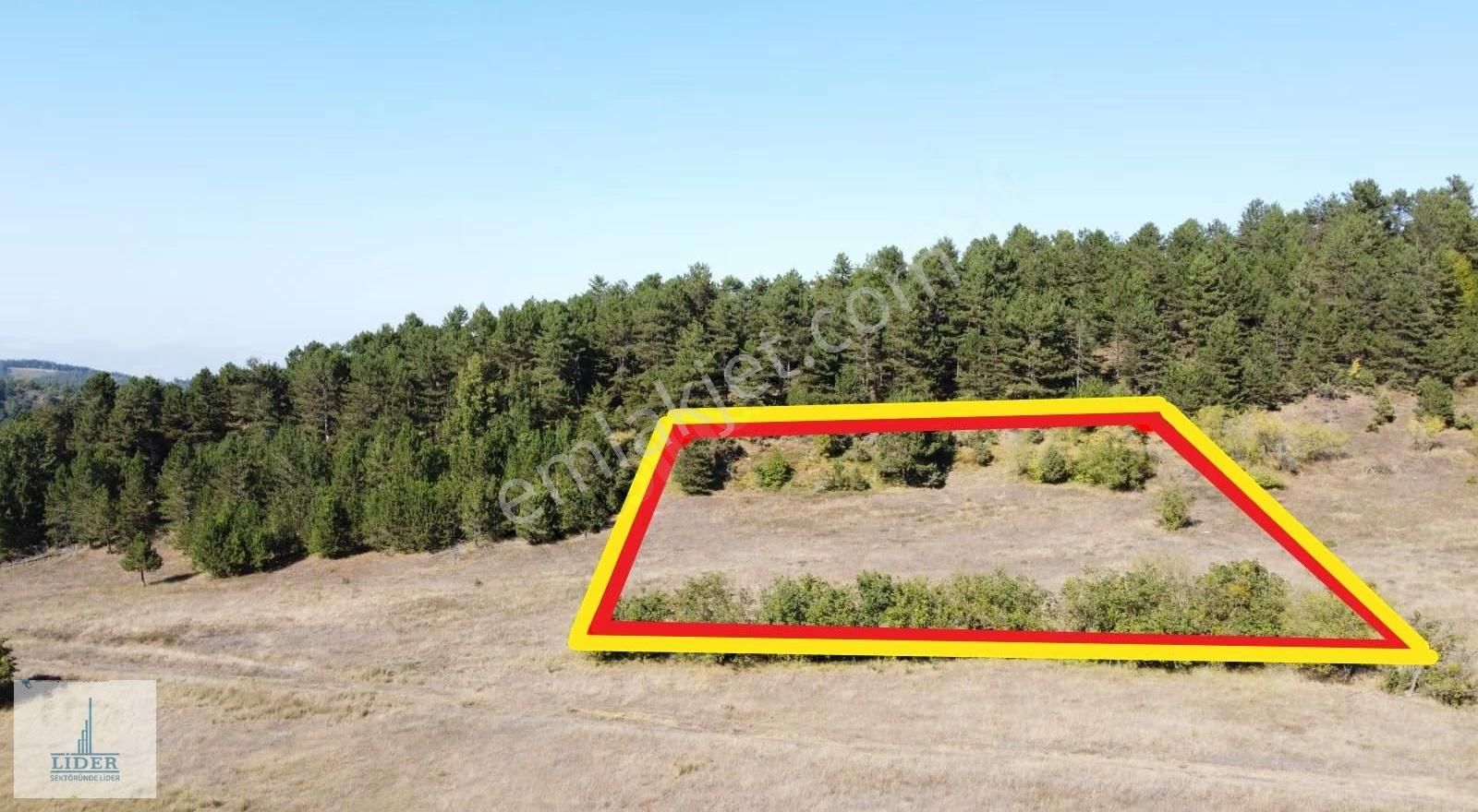 Orhangazi'de Harika Orman Manzaralı 3594m2 Satılık Kupon Arazi - Görsel 11
