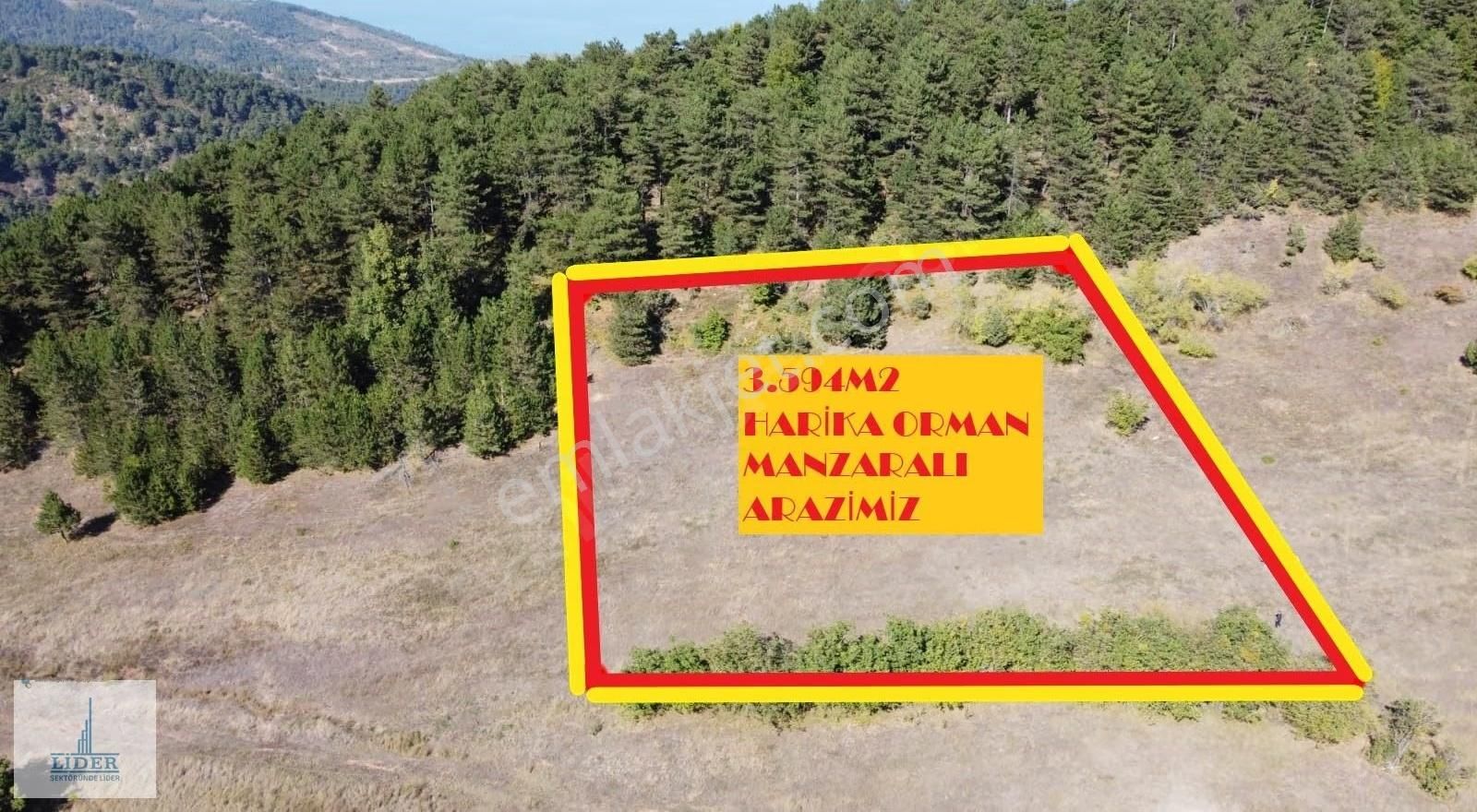 Orhangazi'de Harika Orman Manzaralı 3594m2 Satılık Kupon Arazi - Görsel 12