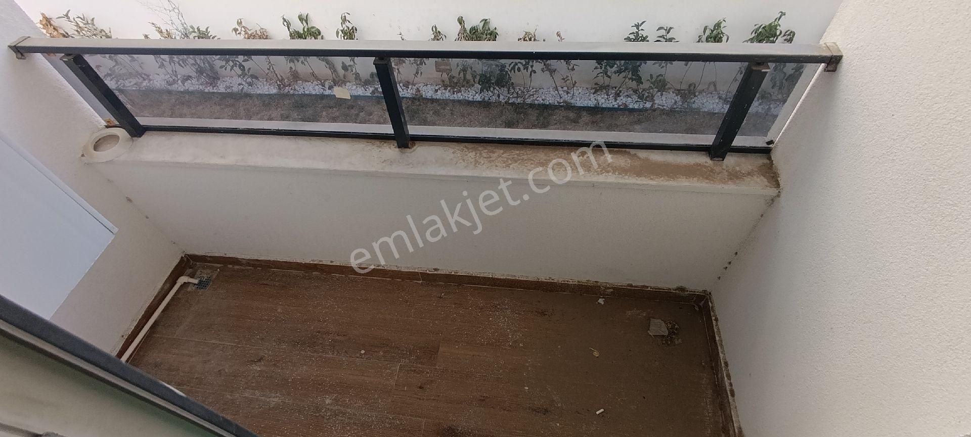 Karayaz'dan Gömeç Çam Sokakta - Görsel 20