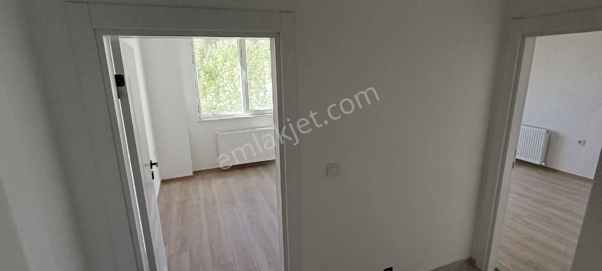 Karayaz'dan Gömeç Çam Sokakta - Görsel 16