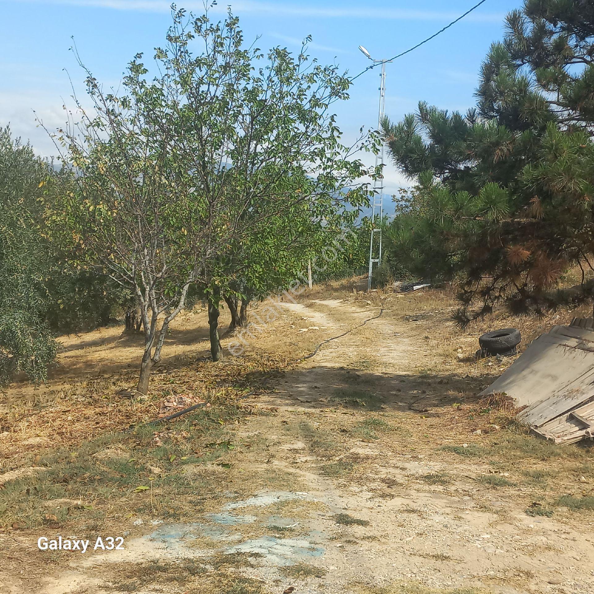 Geyve Umurbey Köyünde 6970 M² Arsa 60m² Bina Bulunan 120 Metrekare Yapı Denetimi Olan Arsa Satılık - Görsel 14