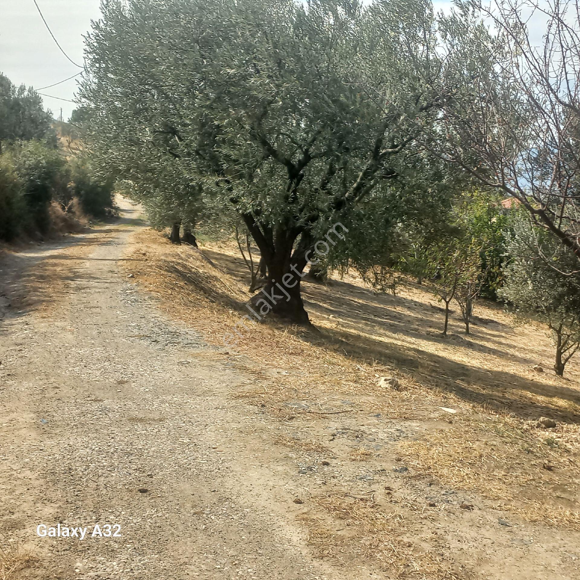Geyve Umurbey Köyünde 6970 M² Arsa 60m² Bina Bulunan 120 Metrekare Yapı Denetimi Olan Arsa Satılık - Görsel 16