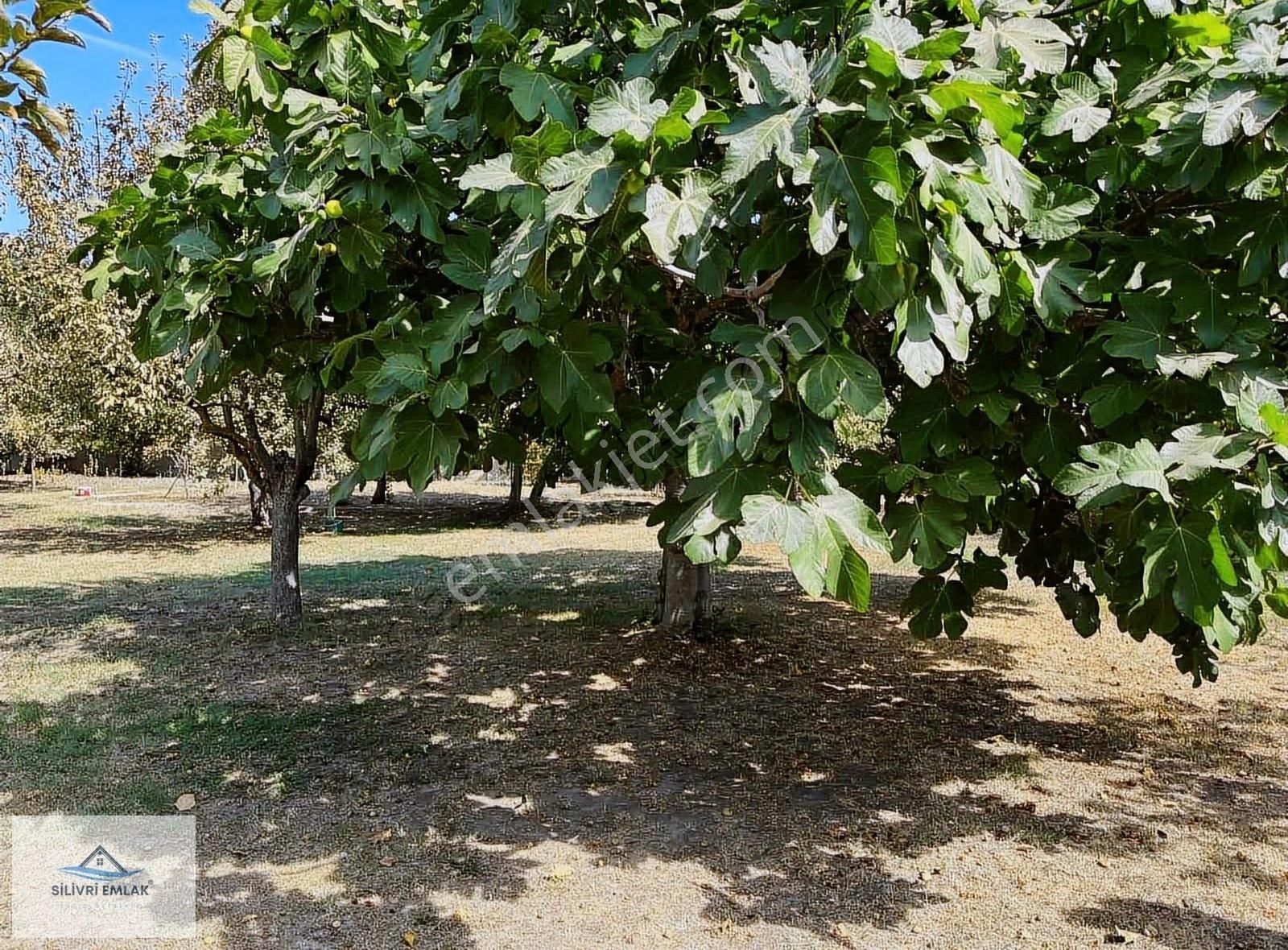 Sultanköyde 1250m2 Arsa İçinde Deniz Manzaralı Satılık Villa - Görsel 2